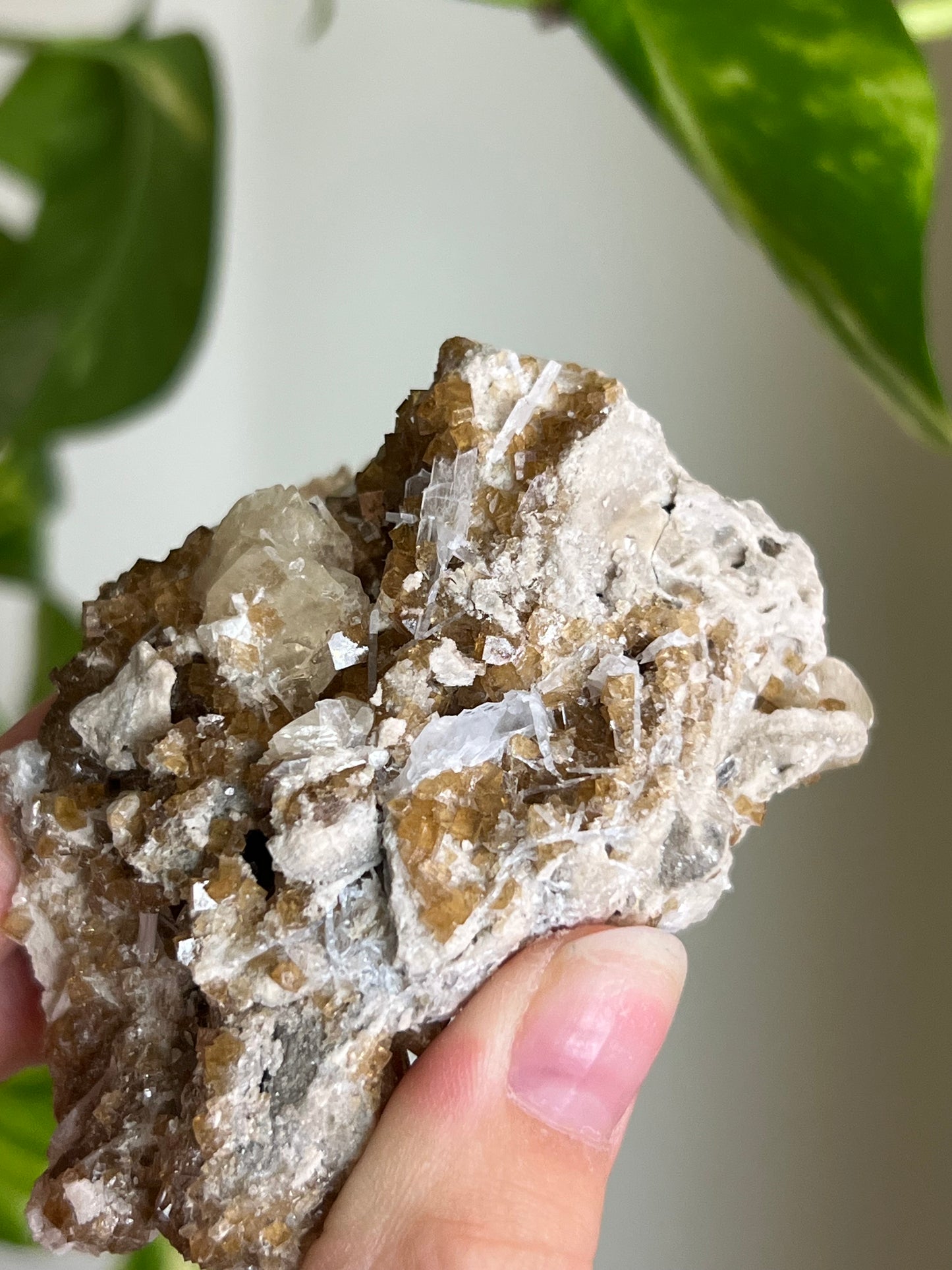Deep Yellow Fluorite x Celestite Cluster * Rare