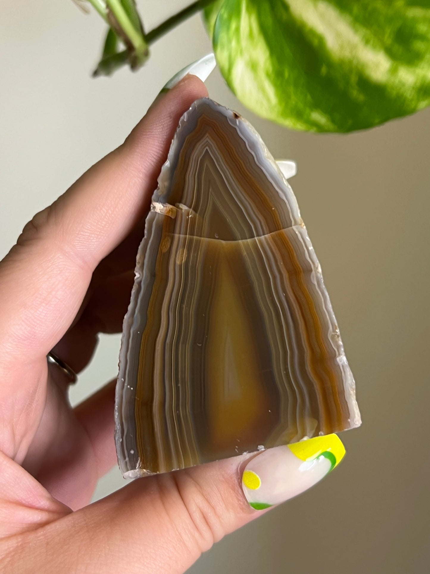 Agate Freeform - i