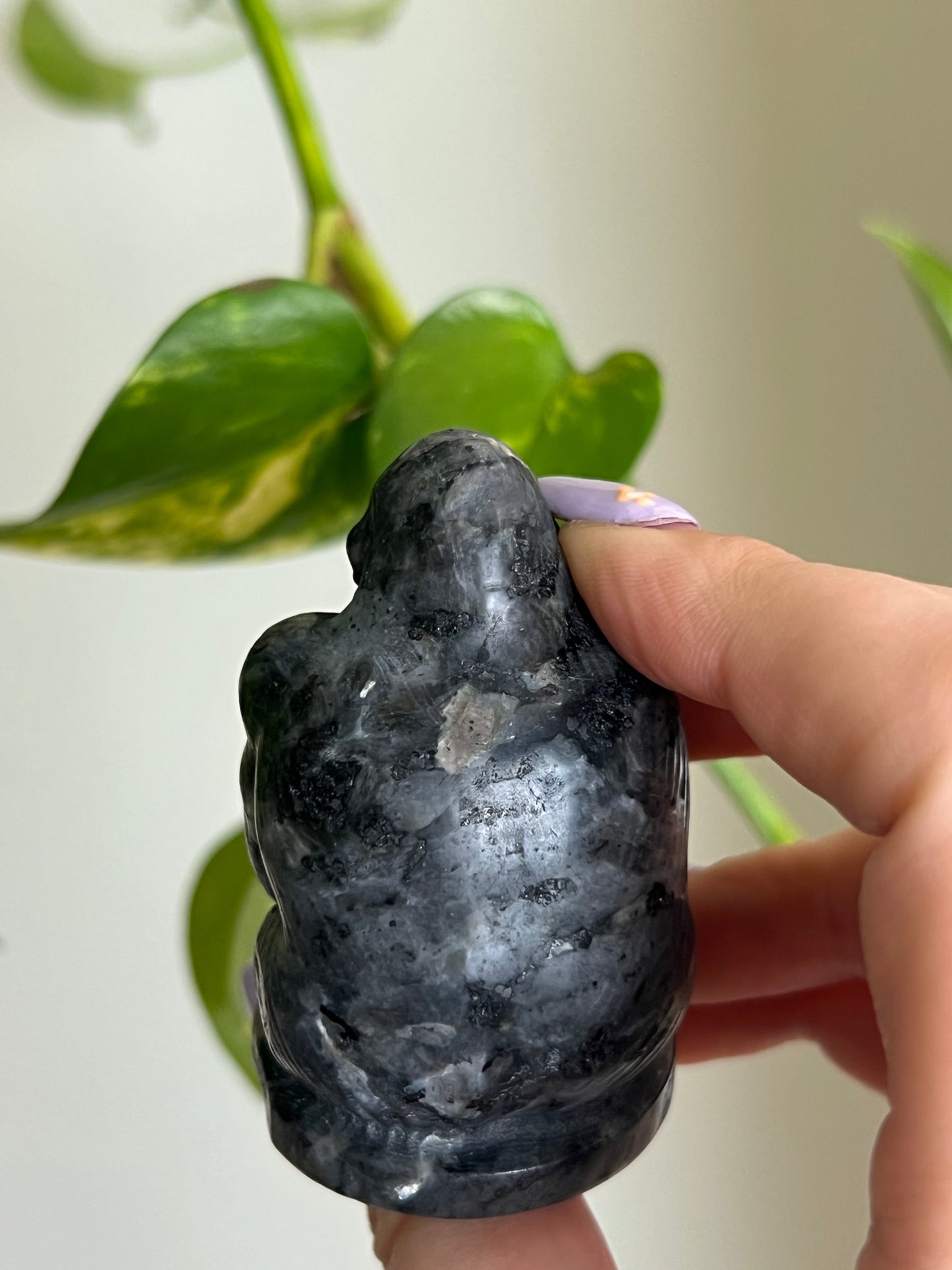 Flashy Larvikite Gorilla