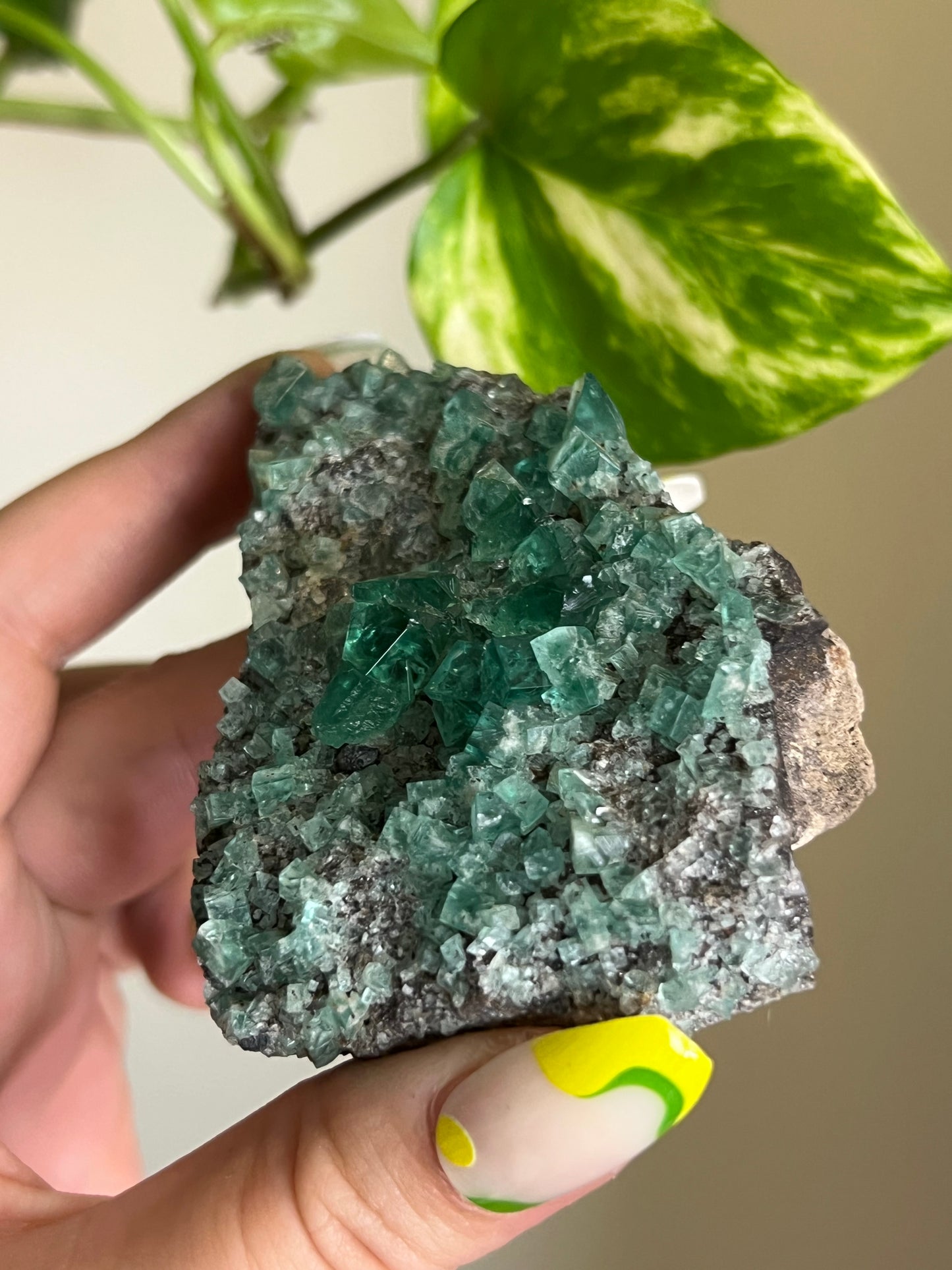 Green Cubic Fluorite Cluster - N