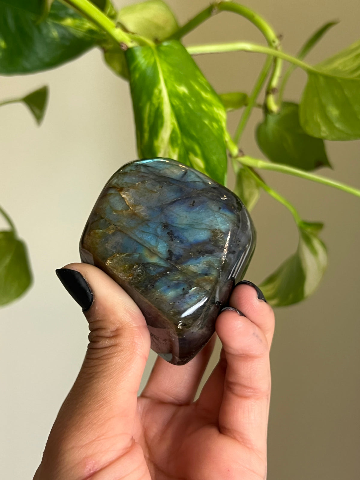 Flashy Labradorite Freeform