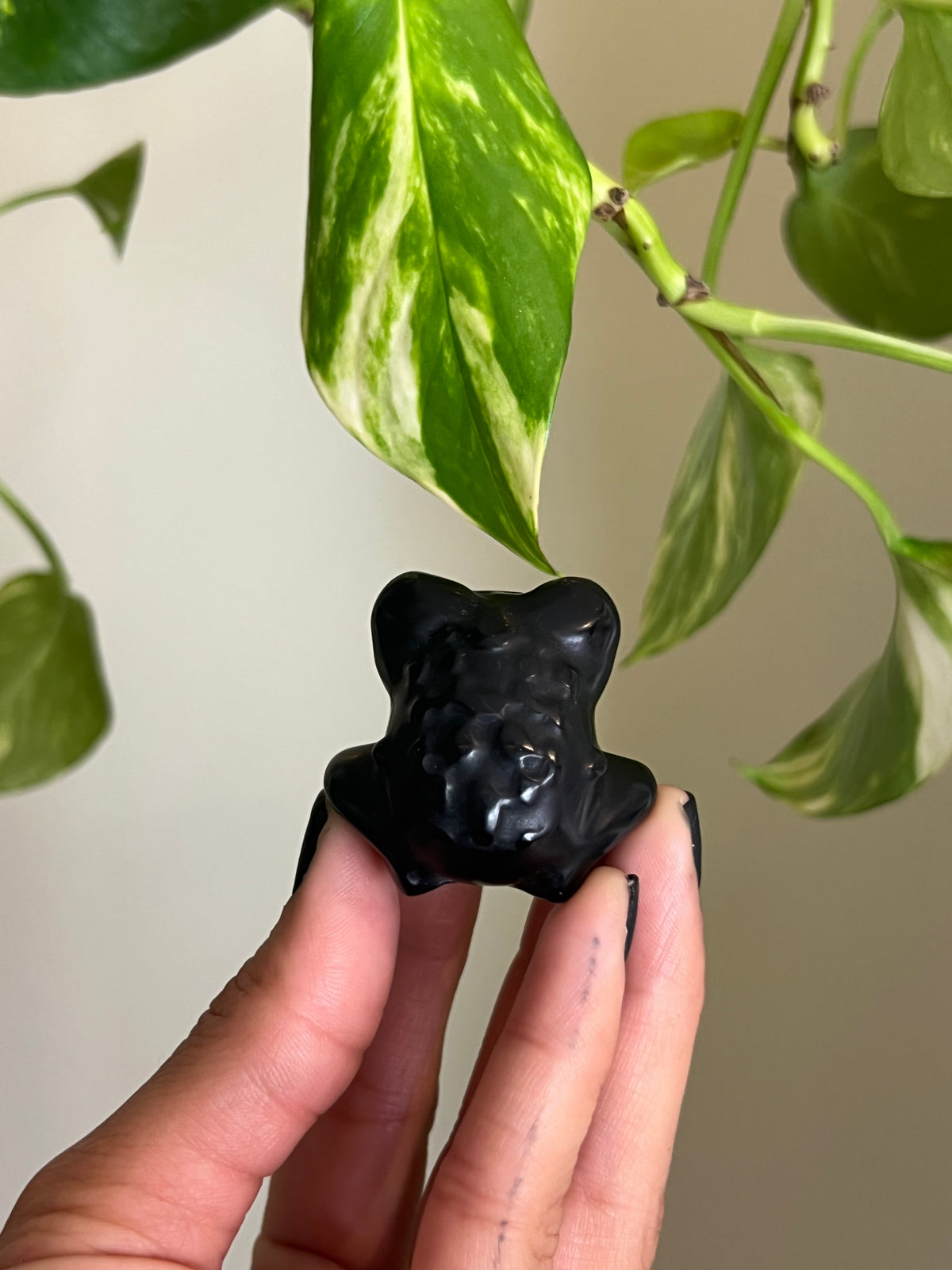 Black Obsidian Frog
