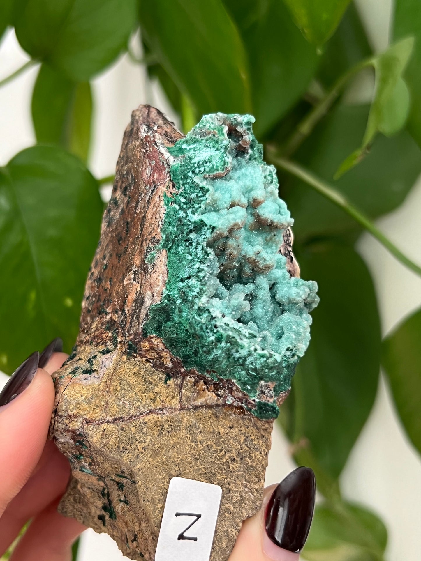 Botryoidal Malachite, Dolomite, Druzy Chrysocolla N