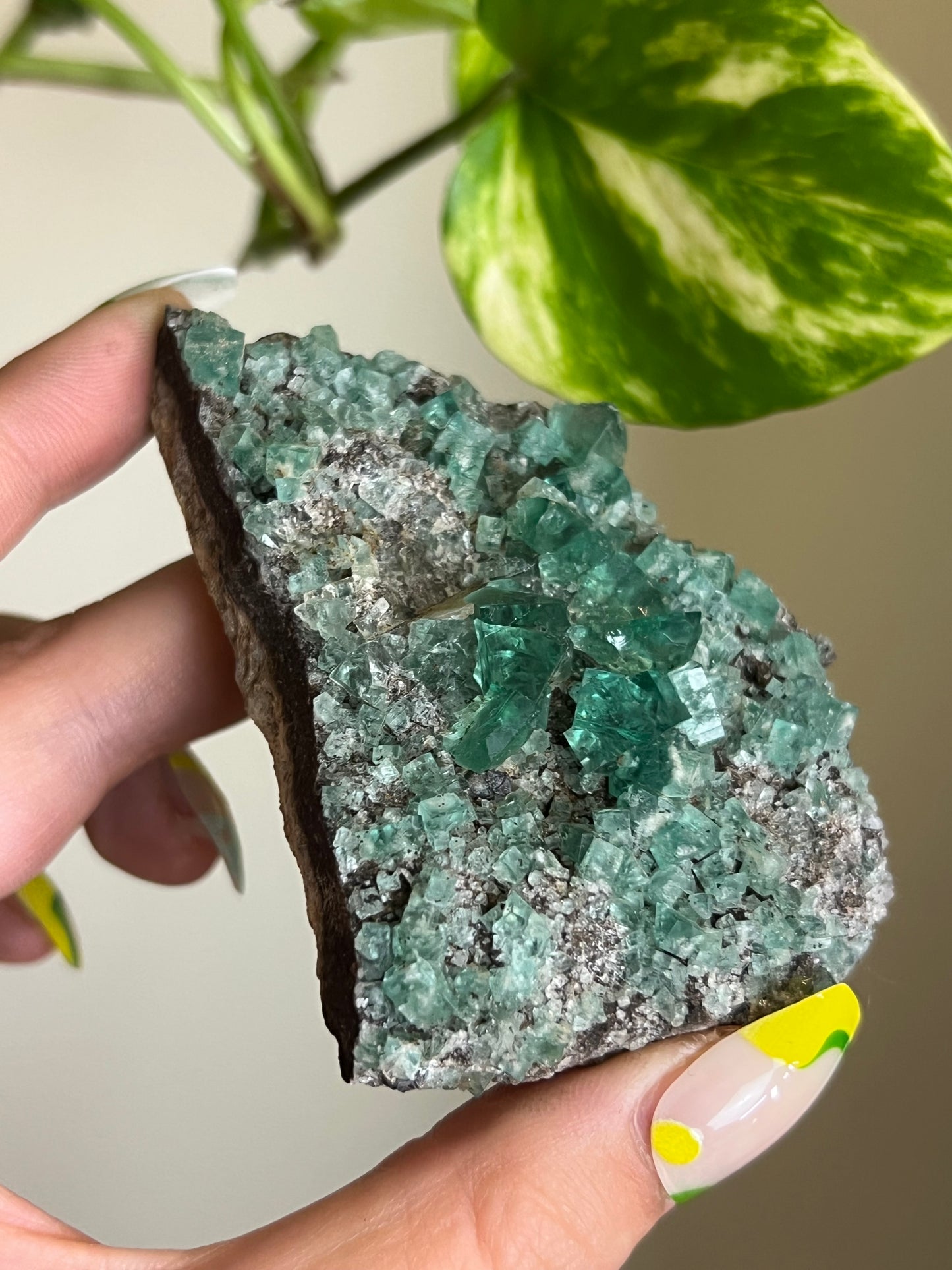 Green Cubic Fluorite Cluster - N