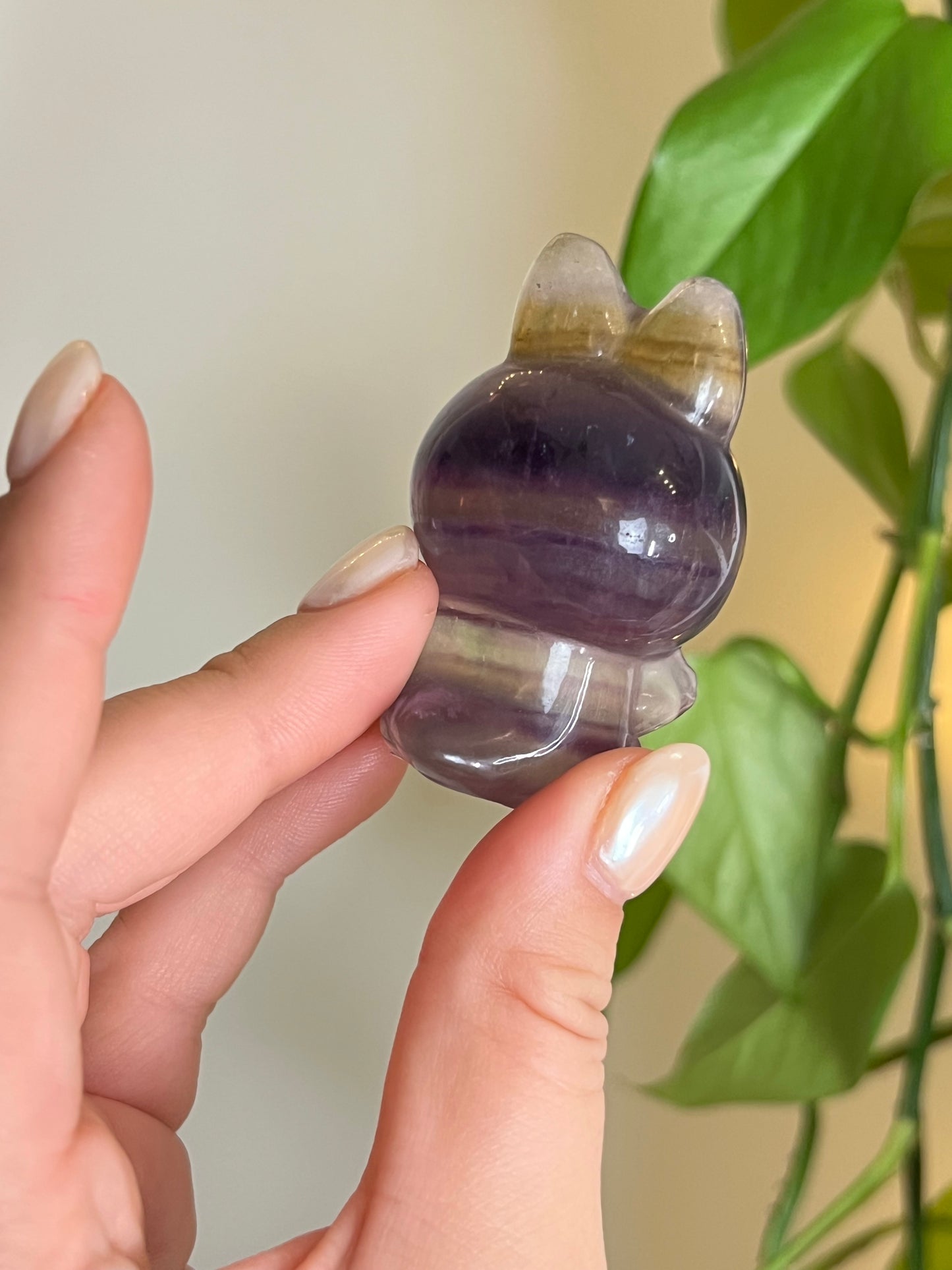 Purple & Yellow Fluorite Lafufu