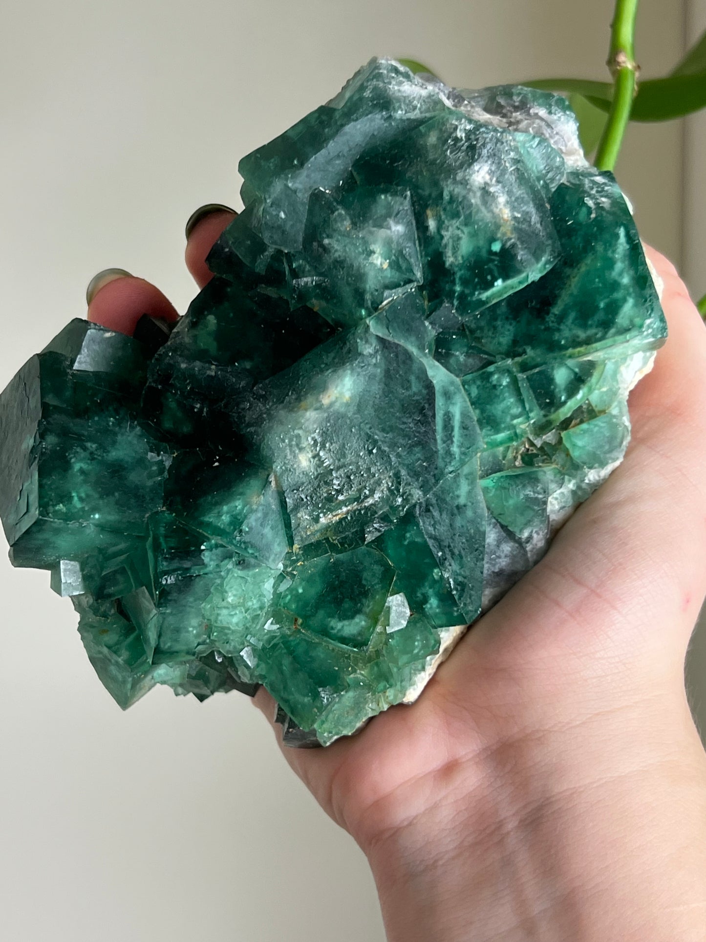 Green Cubic Fluorite Statement