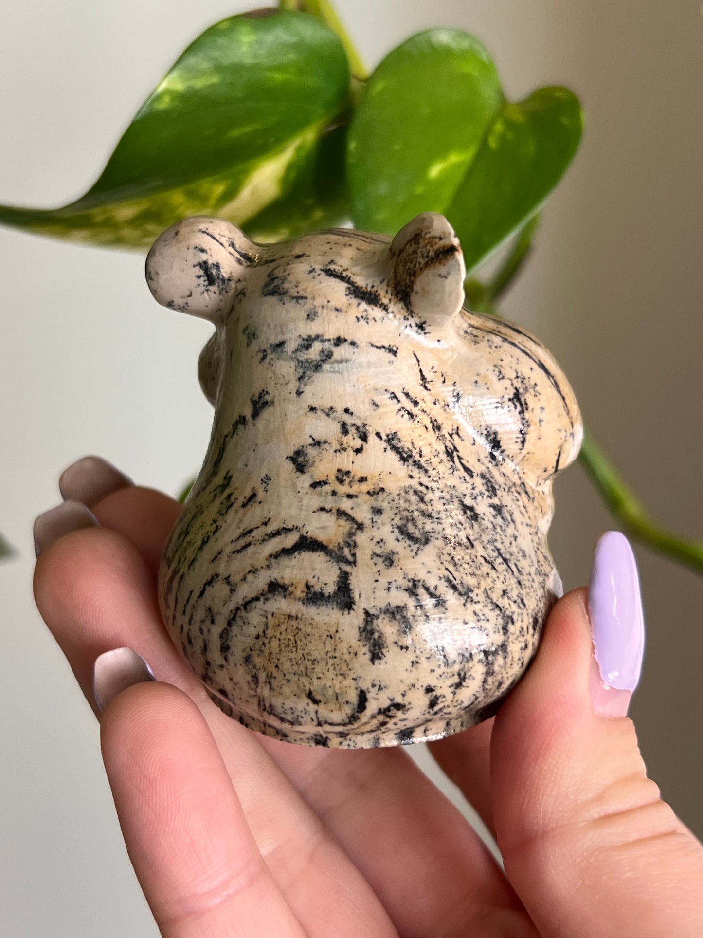 Picture Jasper Hamster