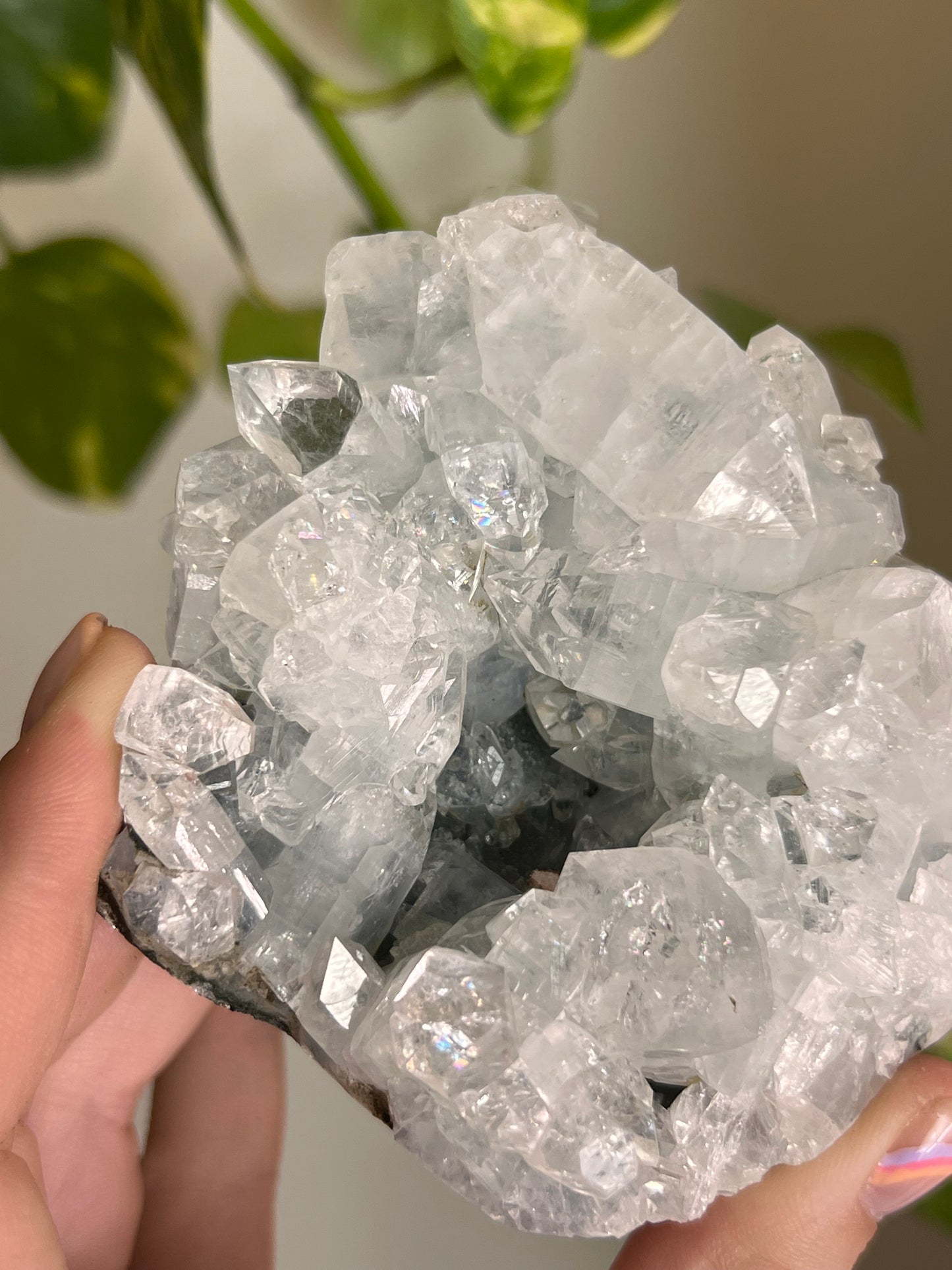 Apophyllite Cluster - Y