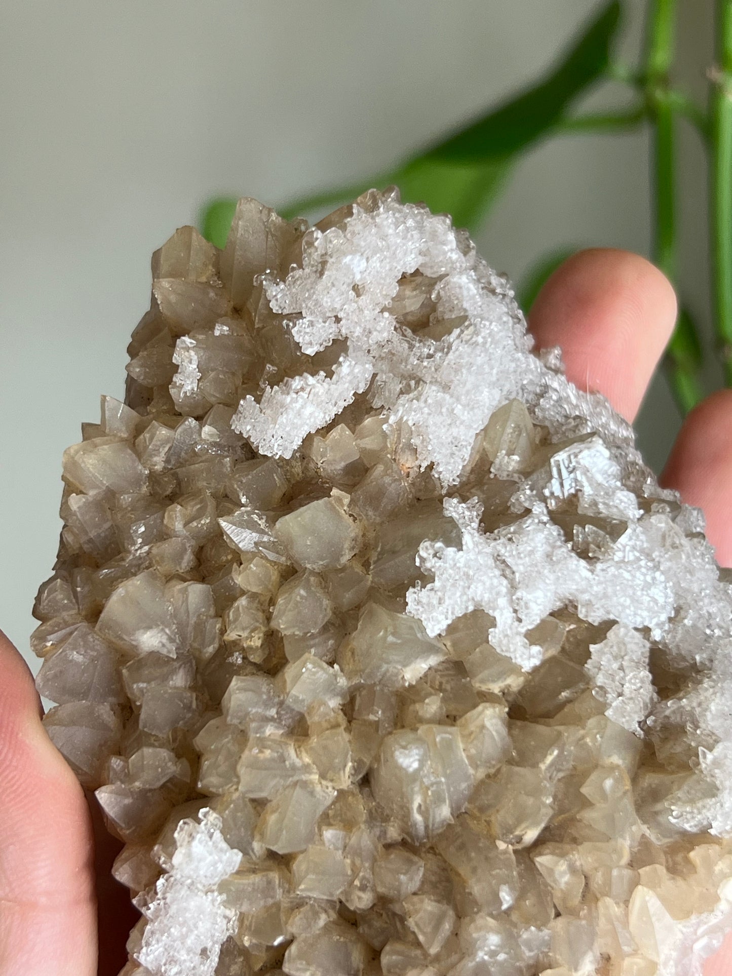 Selenite and Calcite Cluster