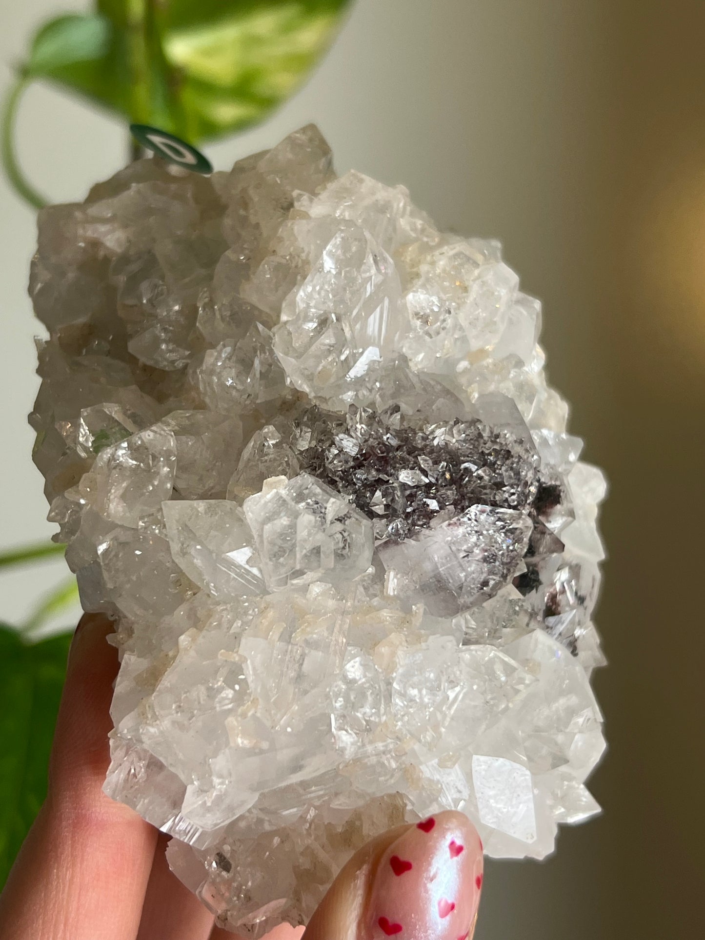 Apophyllite with Celadonite Inclusions Cluster - D