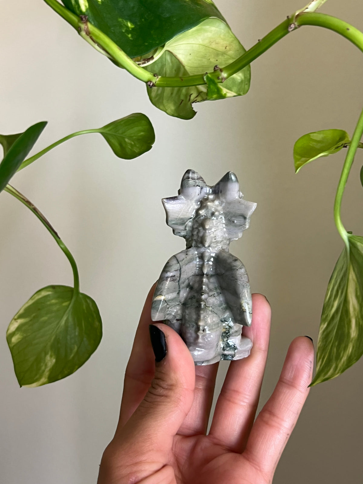 Peace Jade Dragon