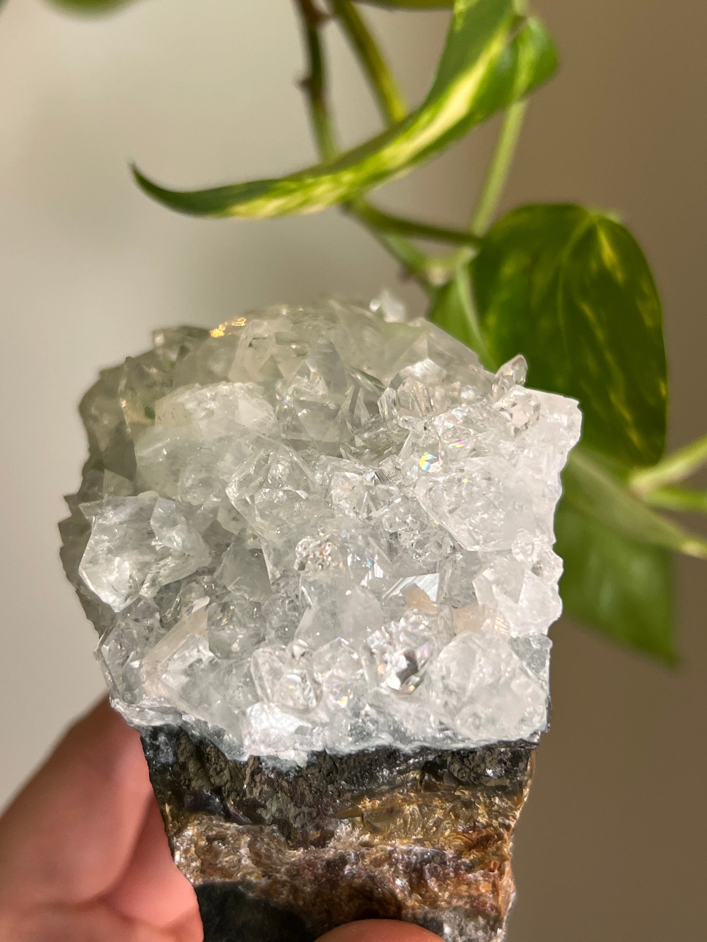 Apophyllite Cluster - I