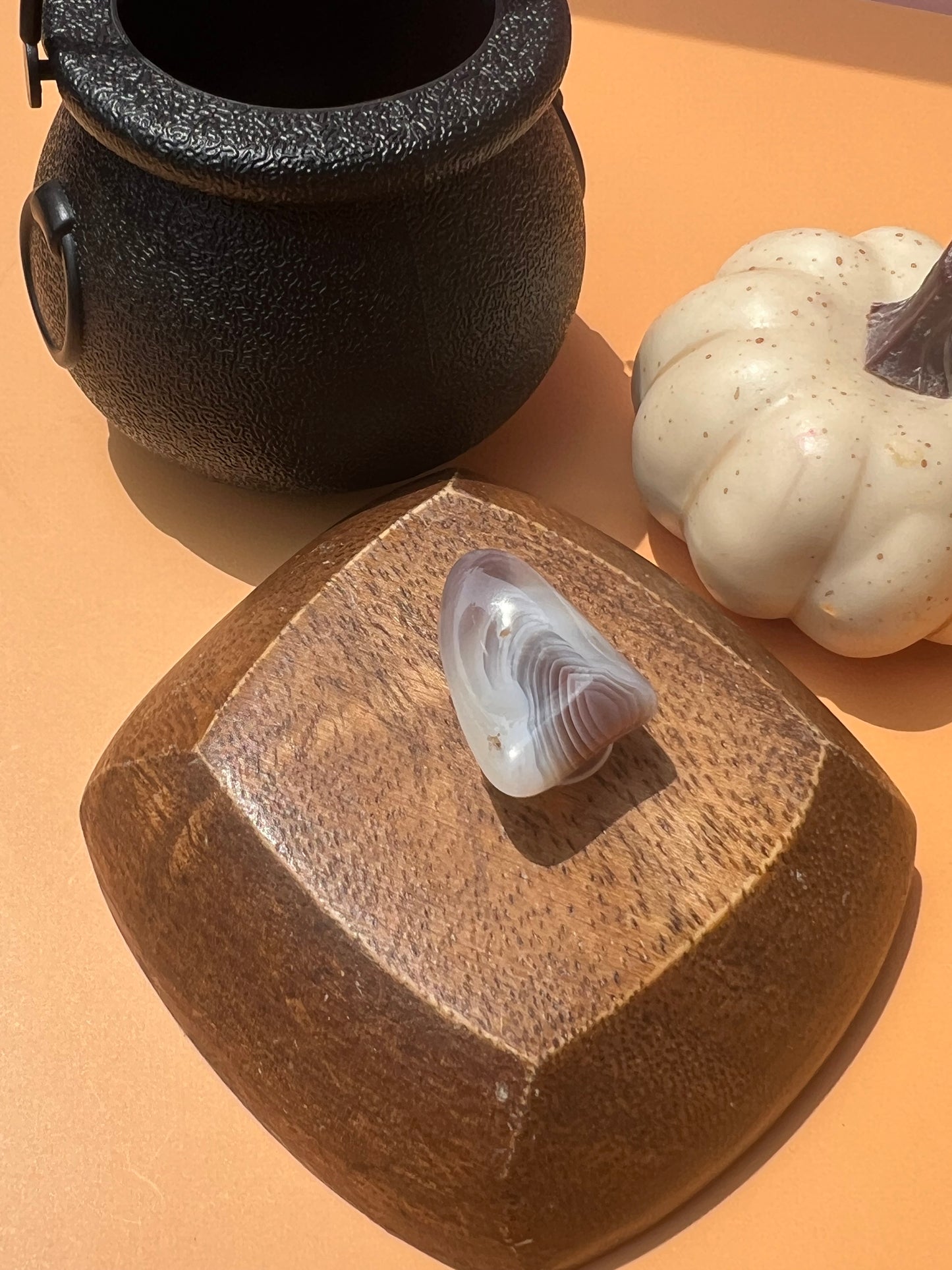 Botswana Agate Croc Charm 🤎