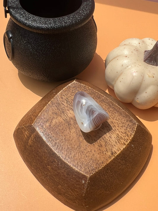 Botswana Agate Croc Charm 🤎