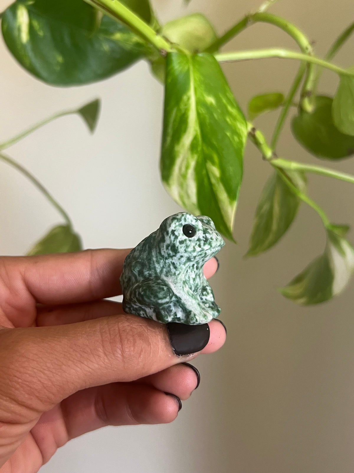 Green Spot Jasper Frog