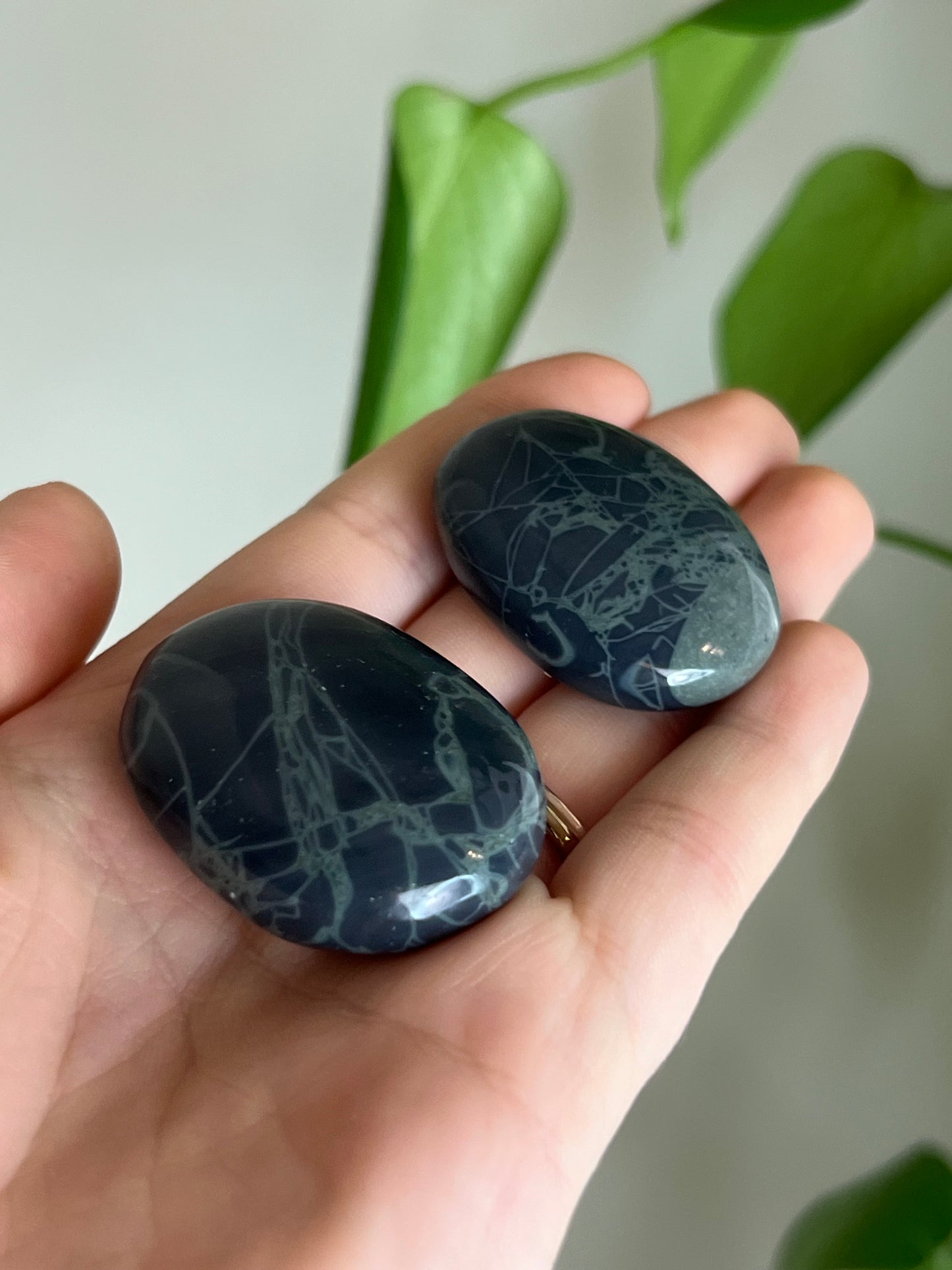 Spider Web Obsidian Small Palm