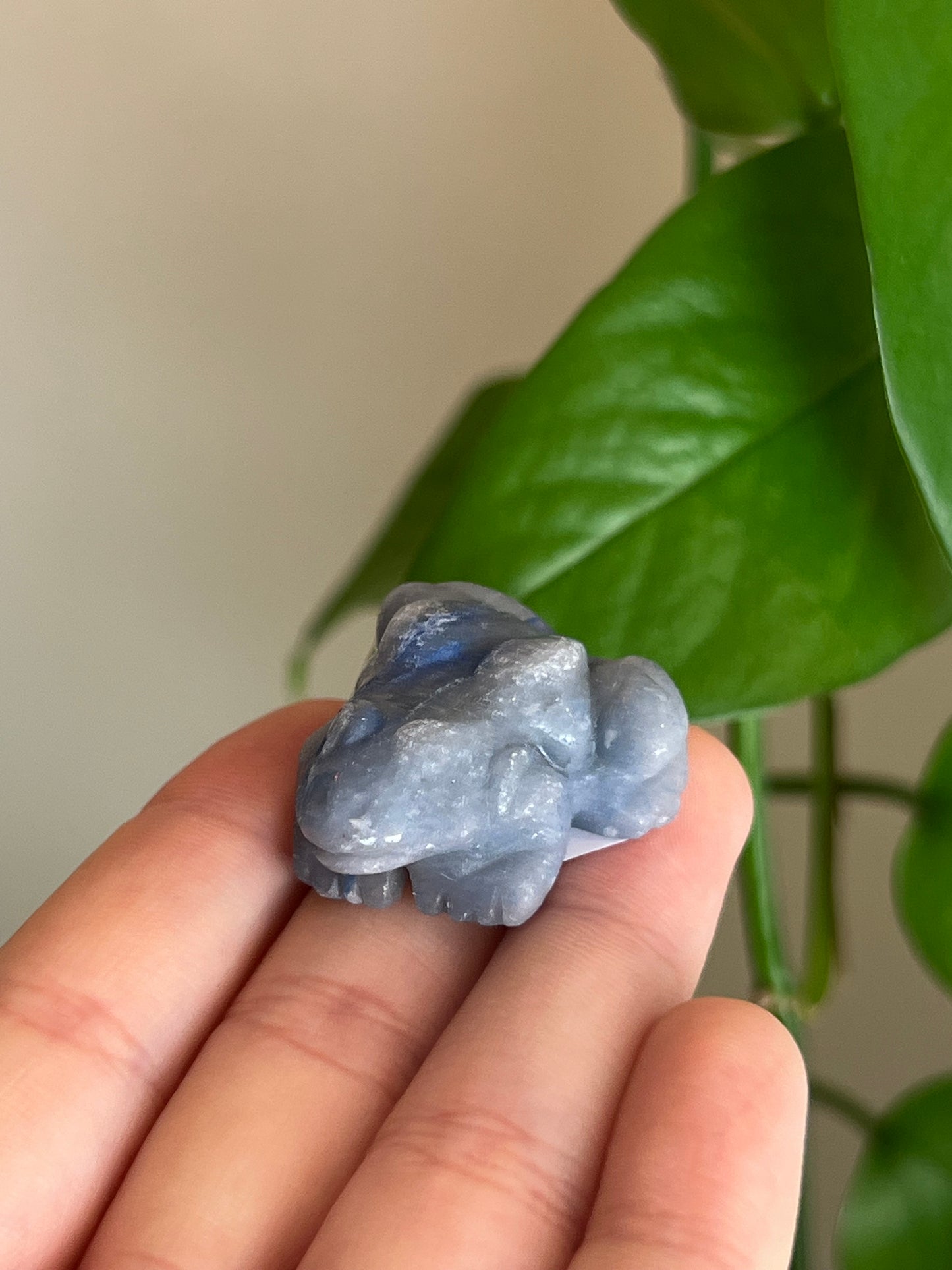 Blue Aventurine Frog