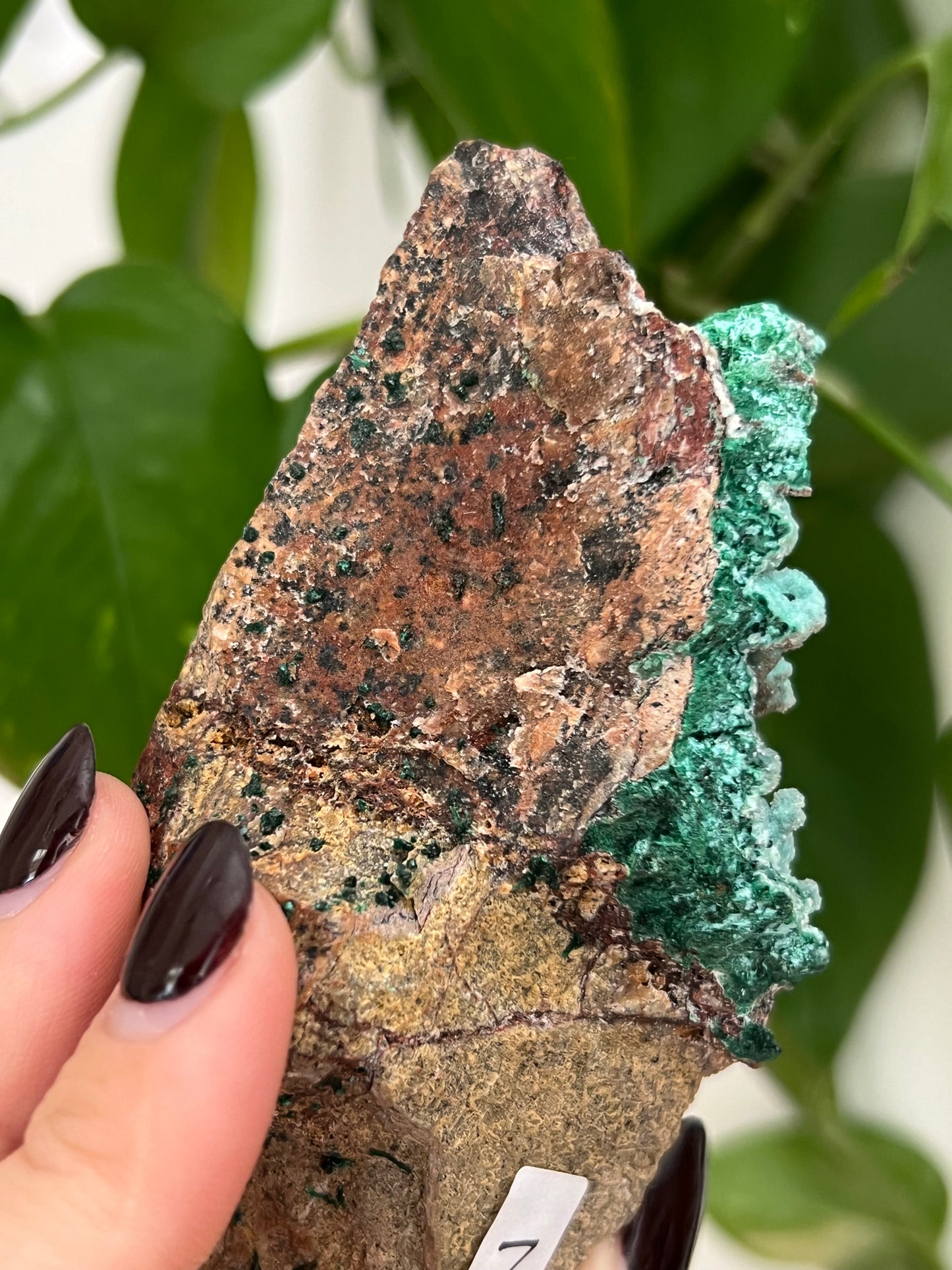 Botryoidal Malachite, Dolomite, Druzy Chrysocolla N