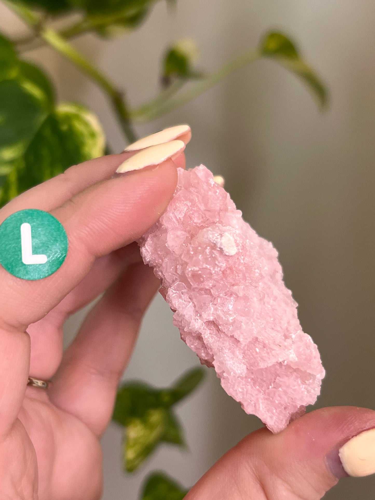 Pastel Pink Halite Specimen - L