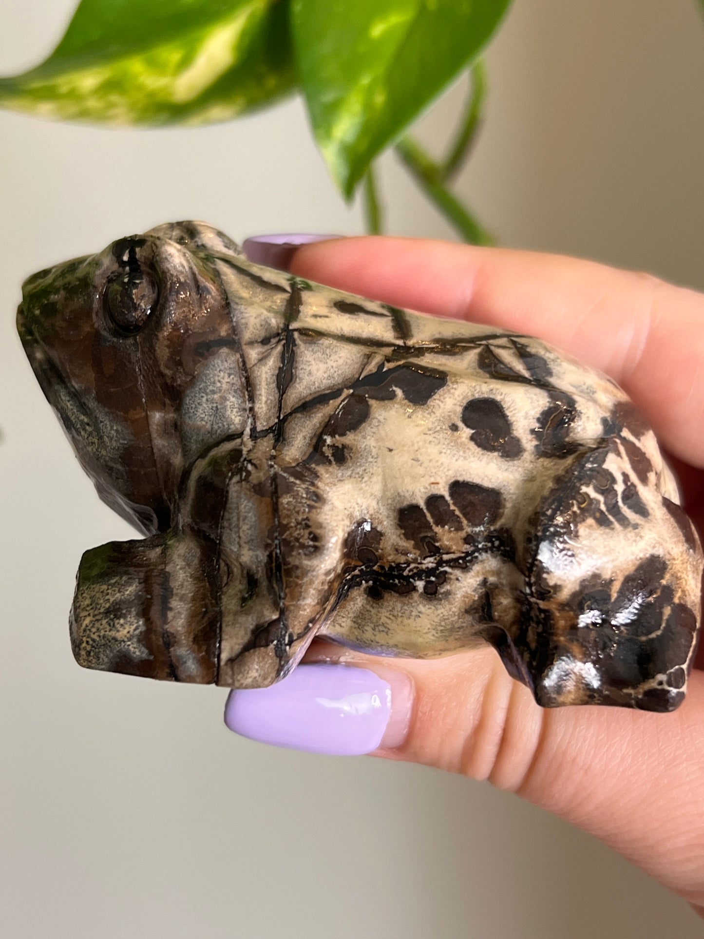 Picture Jasper Large Toad