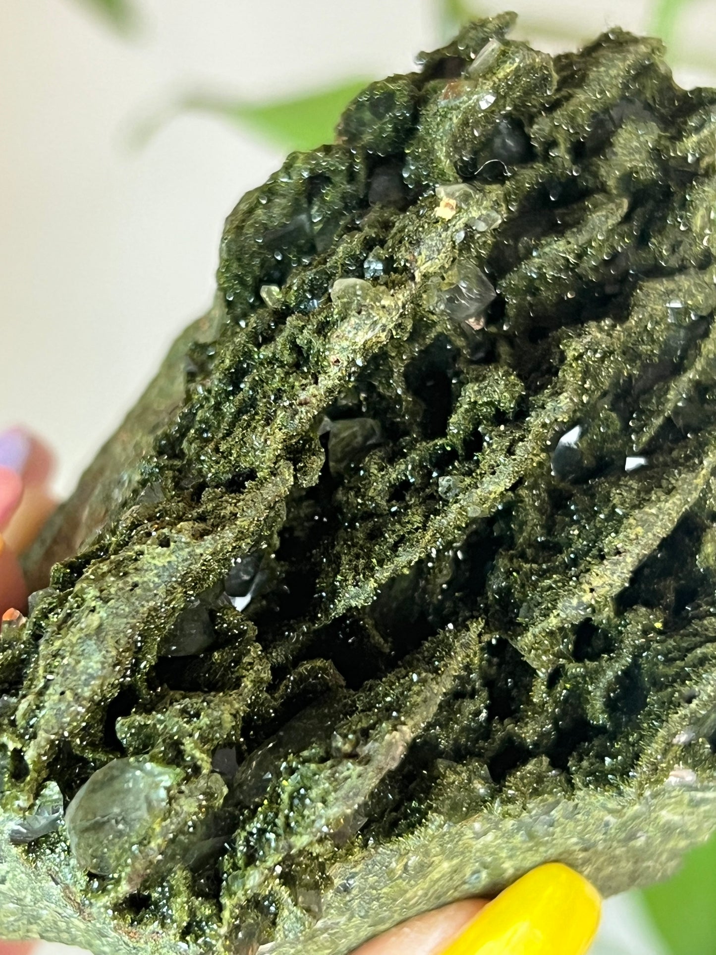 Forest Epidote Quartz Cluster - XLarge