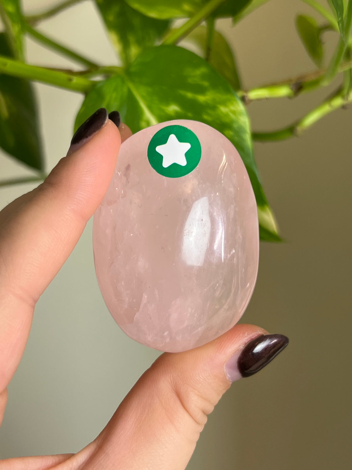 Rose Quartz Palm Stone - ⭐