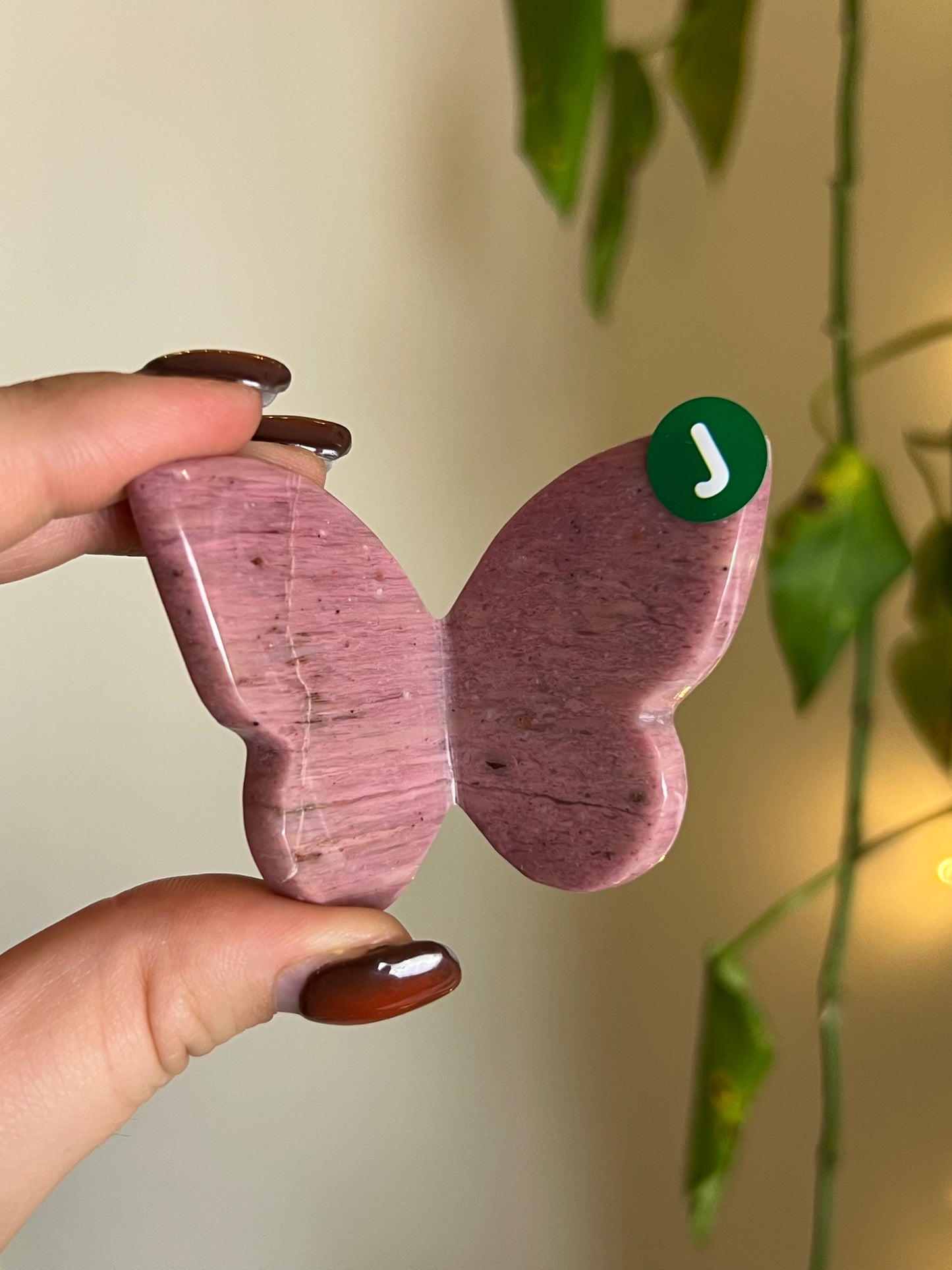 Pink Petrified Wood 3D Butterfly - J