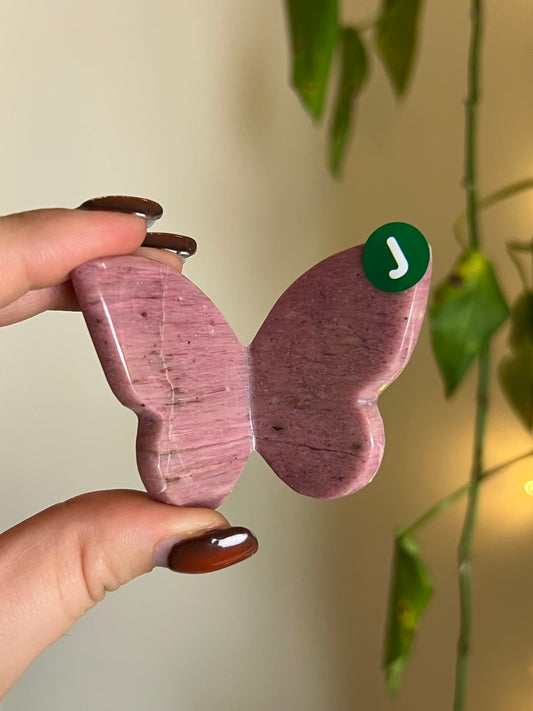 Pink Petrified Wood 3D Butterfly - J