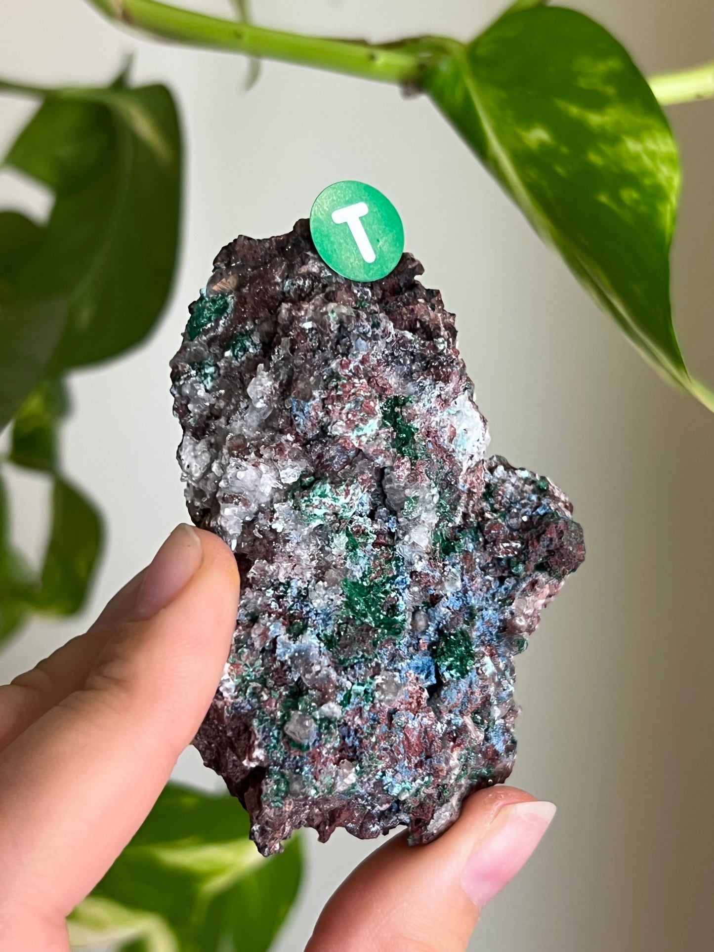 Druzy Malachite with Chrysocolla + Dolomite Sparkly Cluster - T