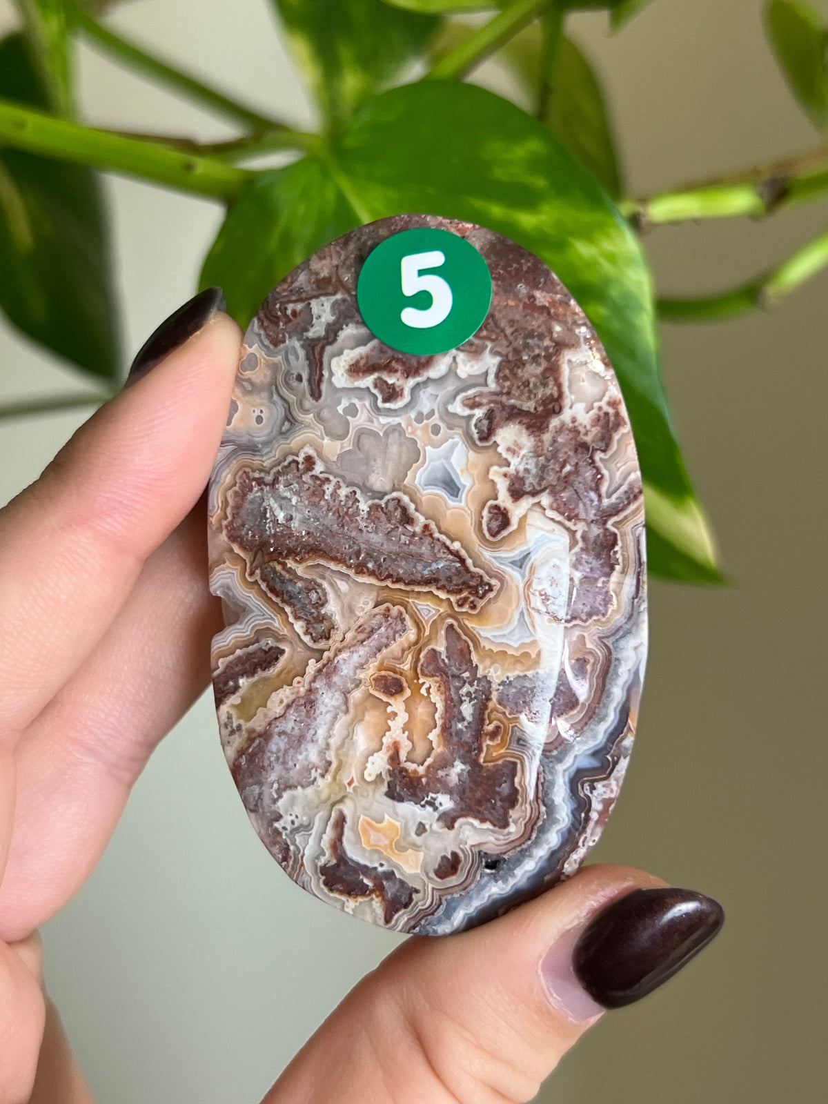 Druzy Mexican Lace Agate Palm Stone - 5