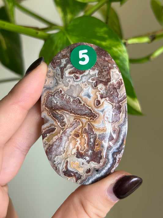 Druzy Mexican Lace Agate Palm Stone - 5