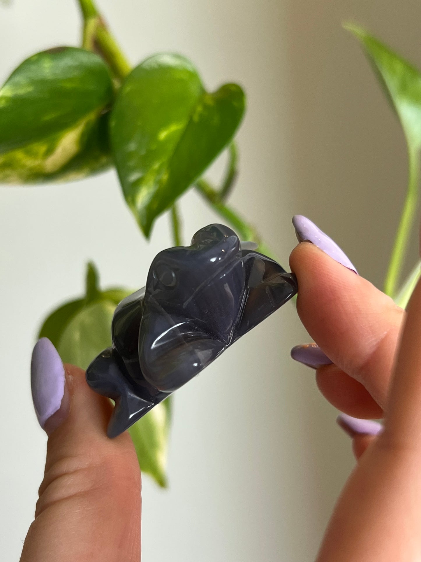 Druzy Agate Frog - 4