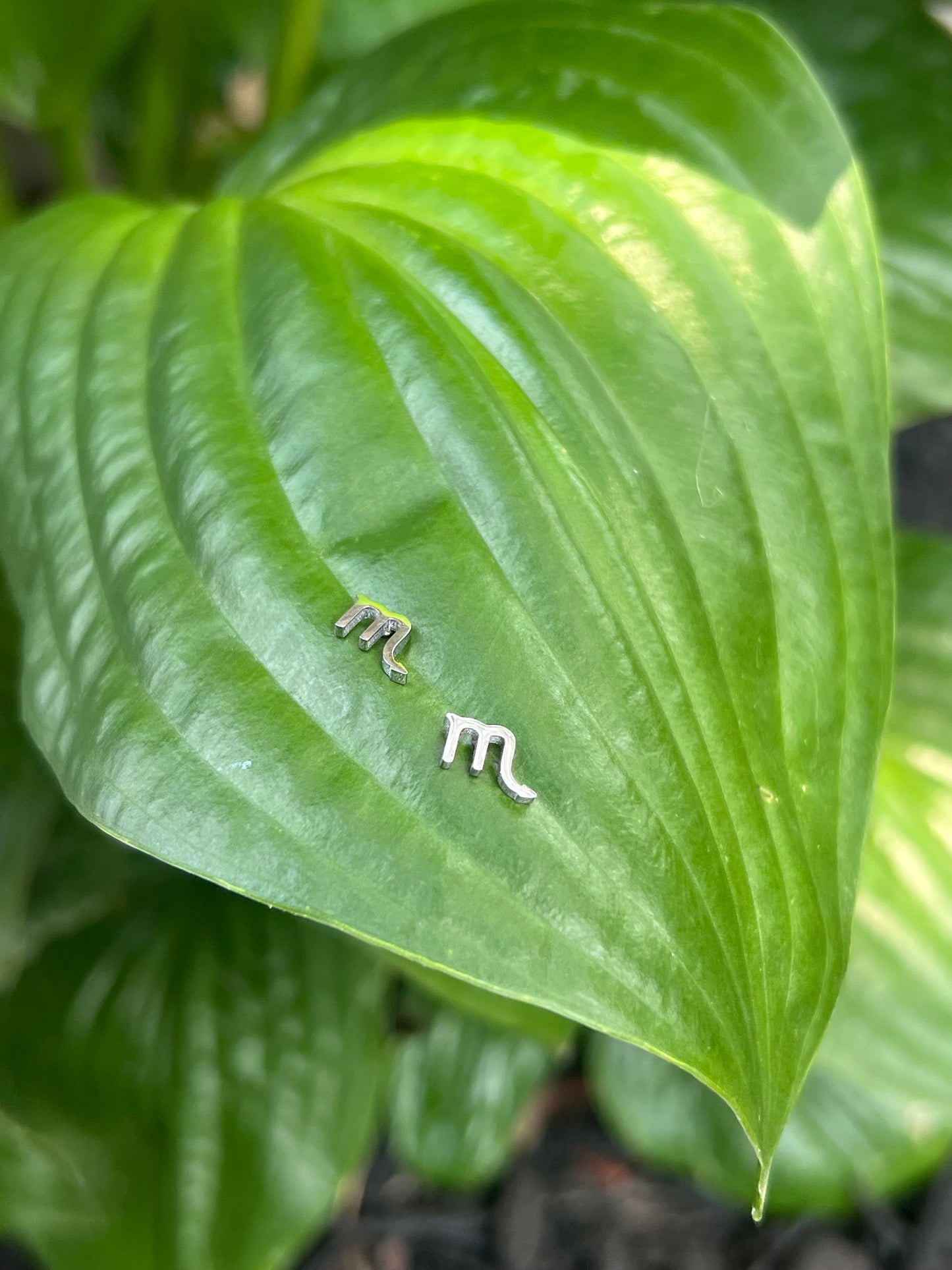 Scorpio Silver Zodiac Sign Studs ♏️