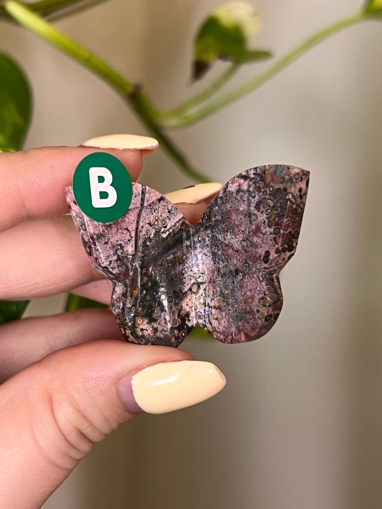 Colourful Unicorn Jasper Small 3D Butterfly - B