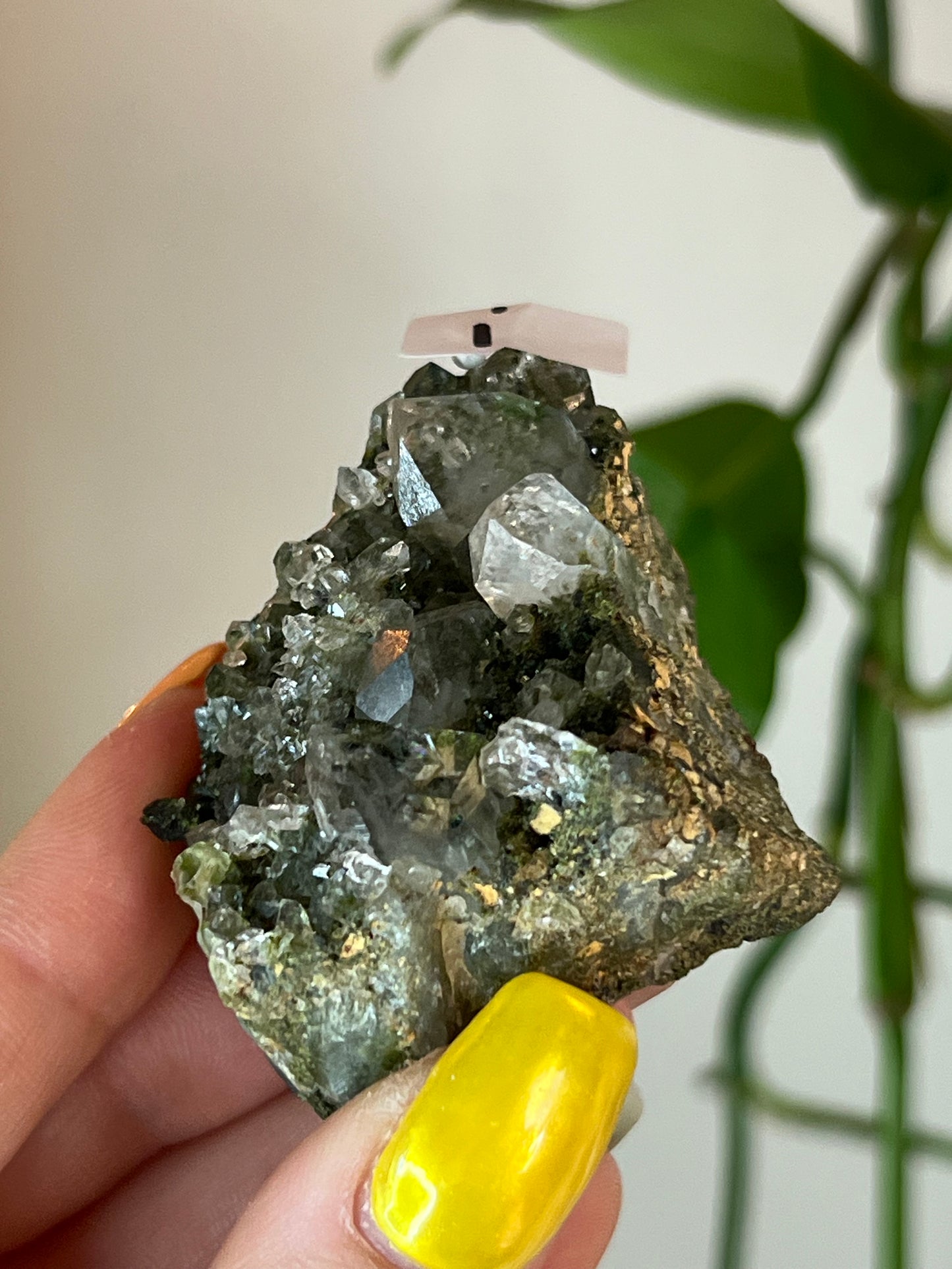 Forest Epidote Quartz Cluster - i