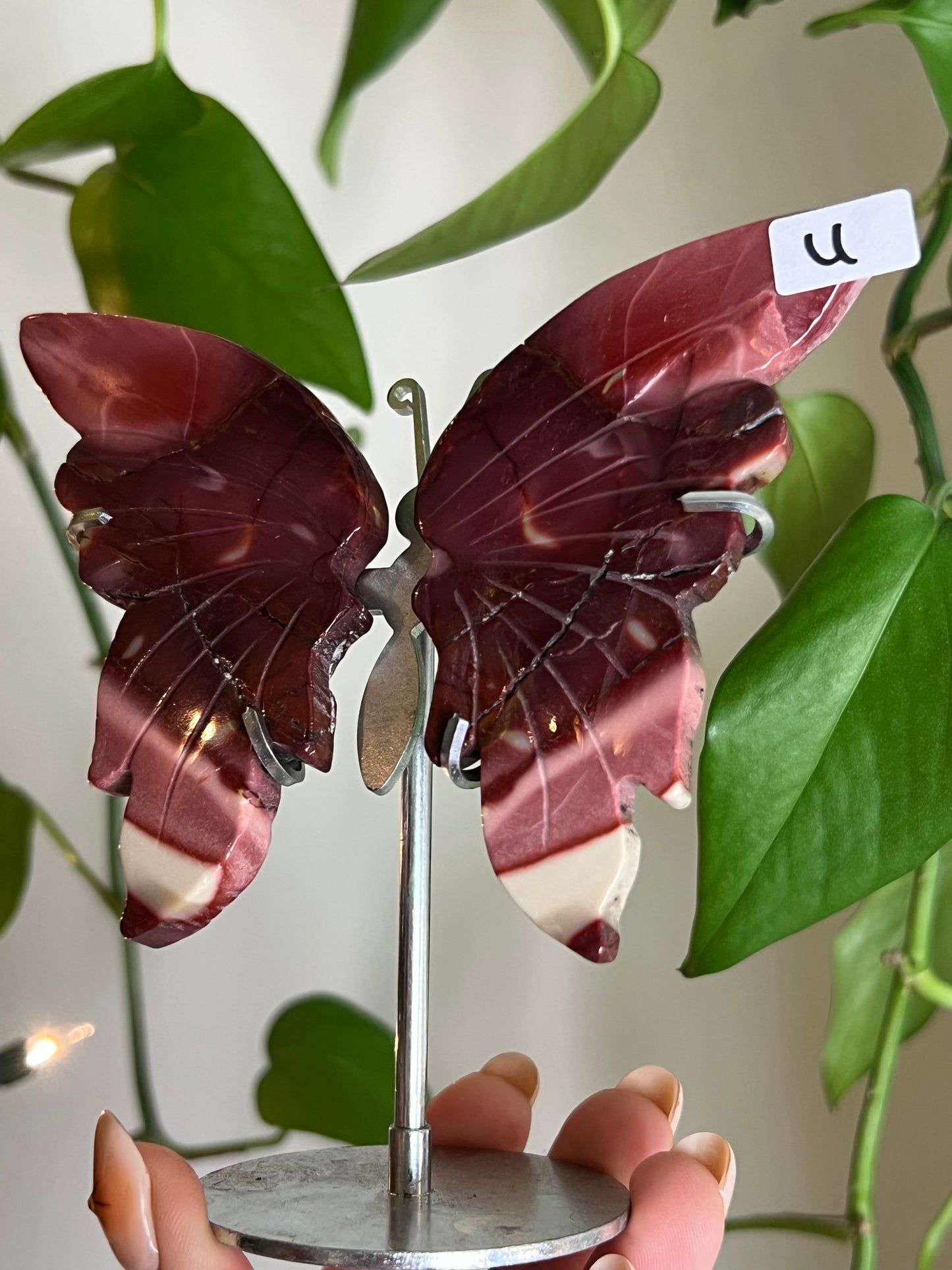 Mookaite Jasper Butterfly Stand - U