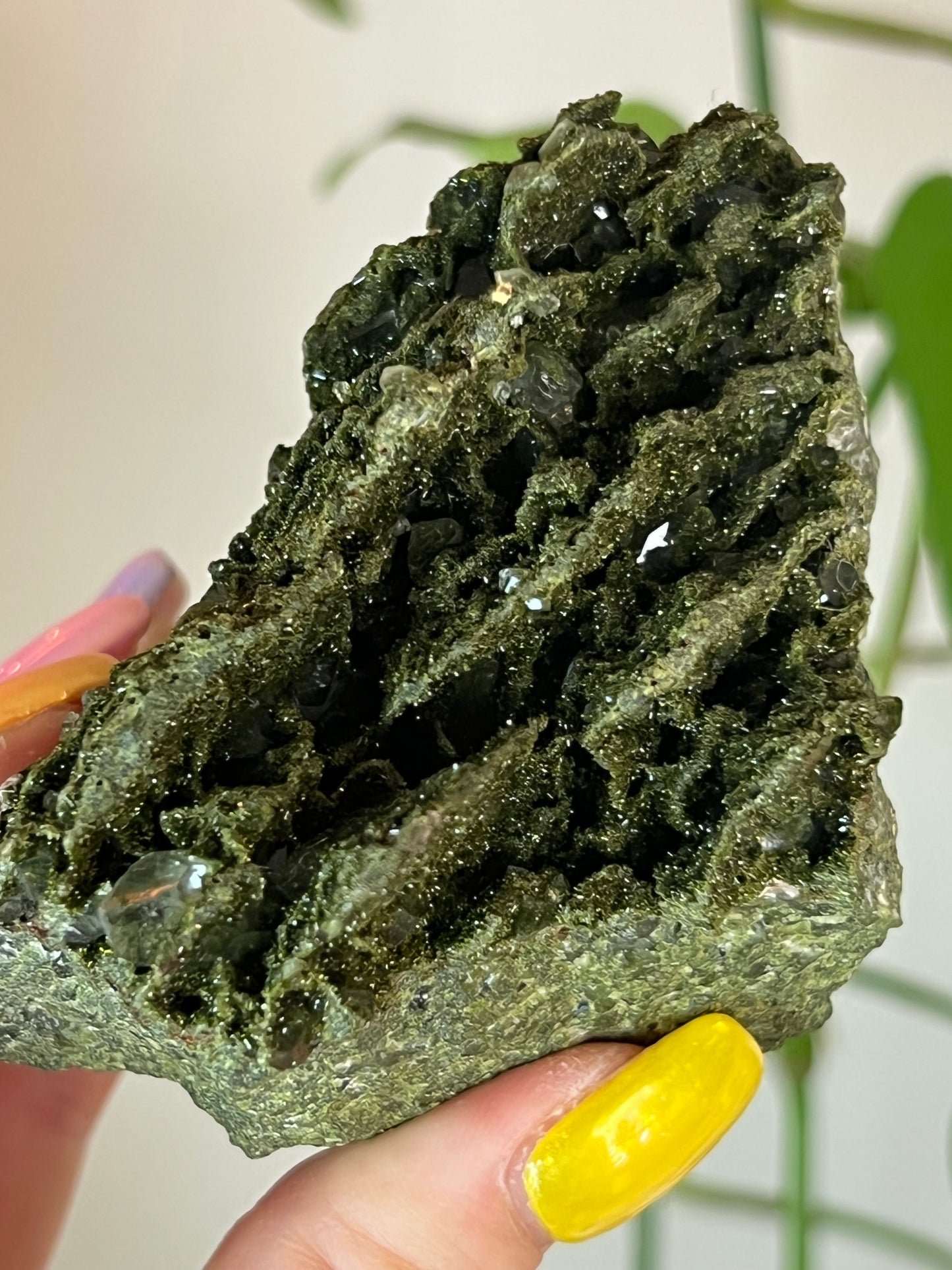 Forest Epidote Quartz Cluster - XLarge
