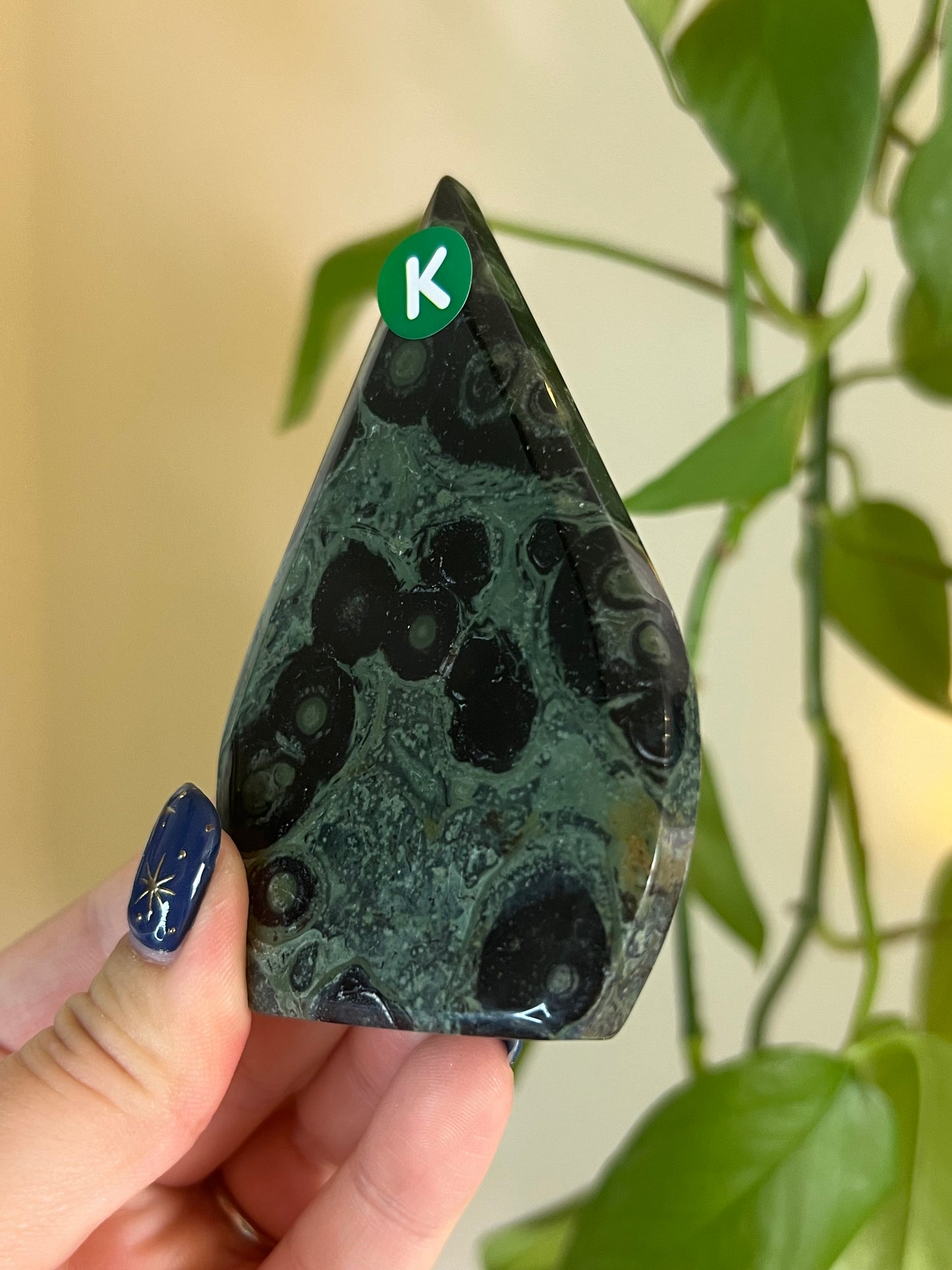 Kambaba Jasper Freeform - K