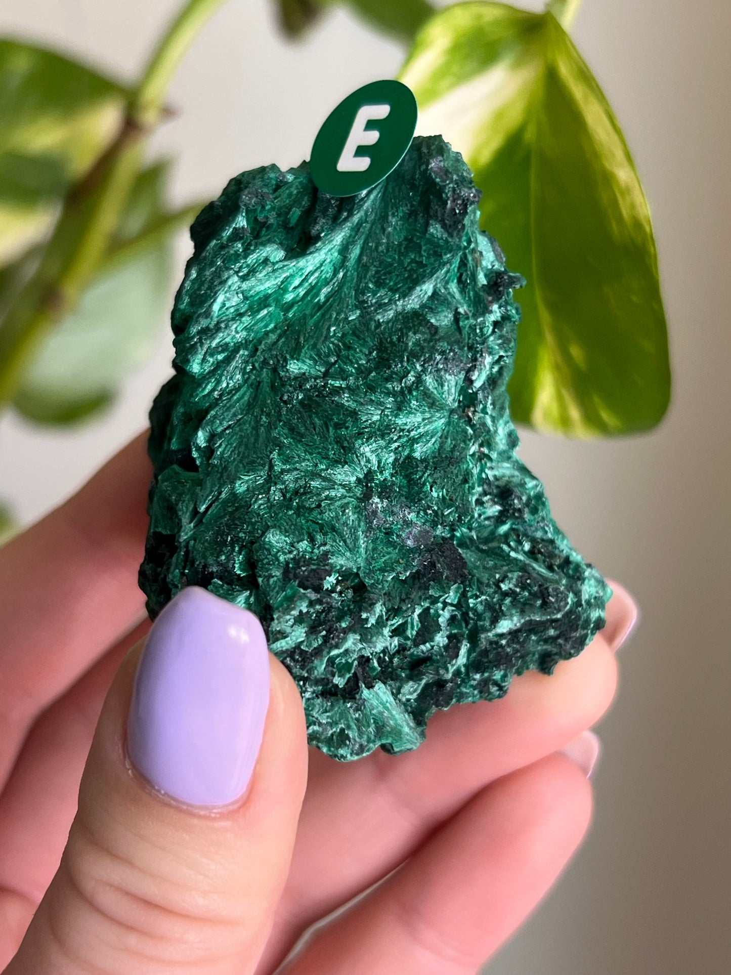 Fibrous Malachite - E