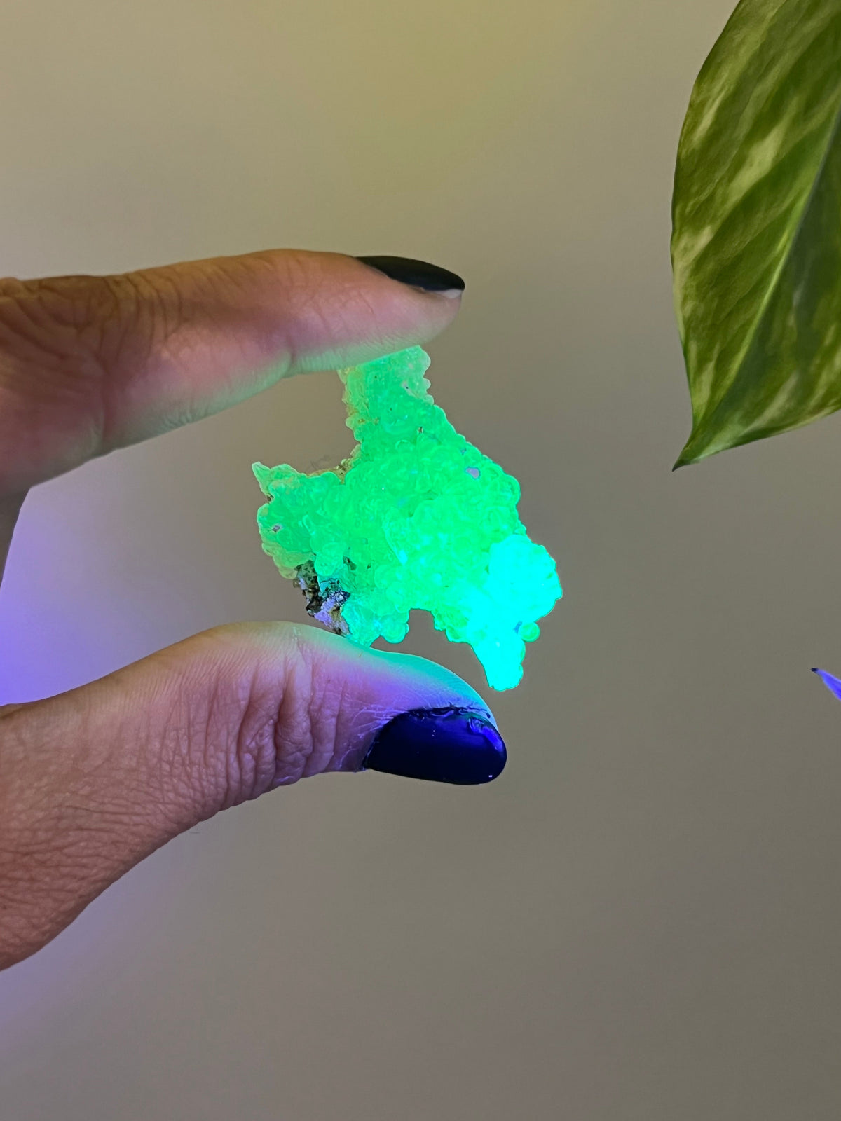 UV Reactive Hyalite Opal - A