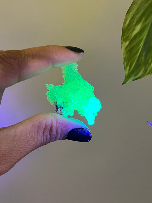UV Reactive Hyalite Opal - A