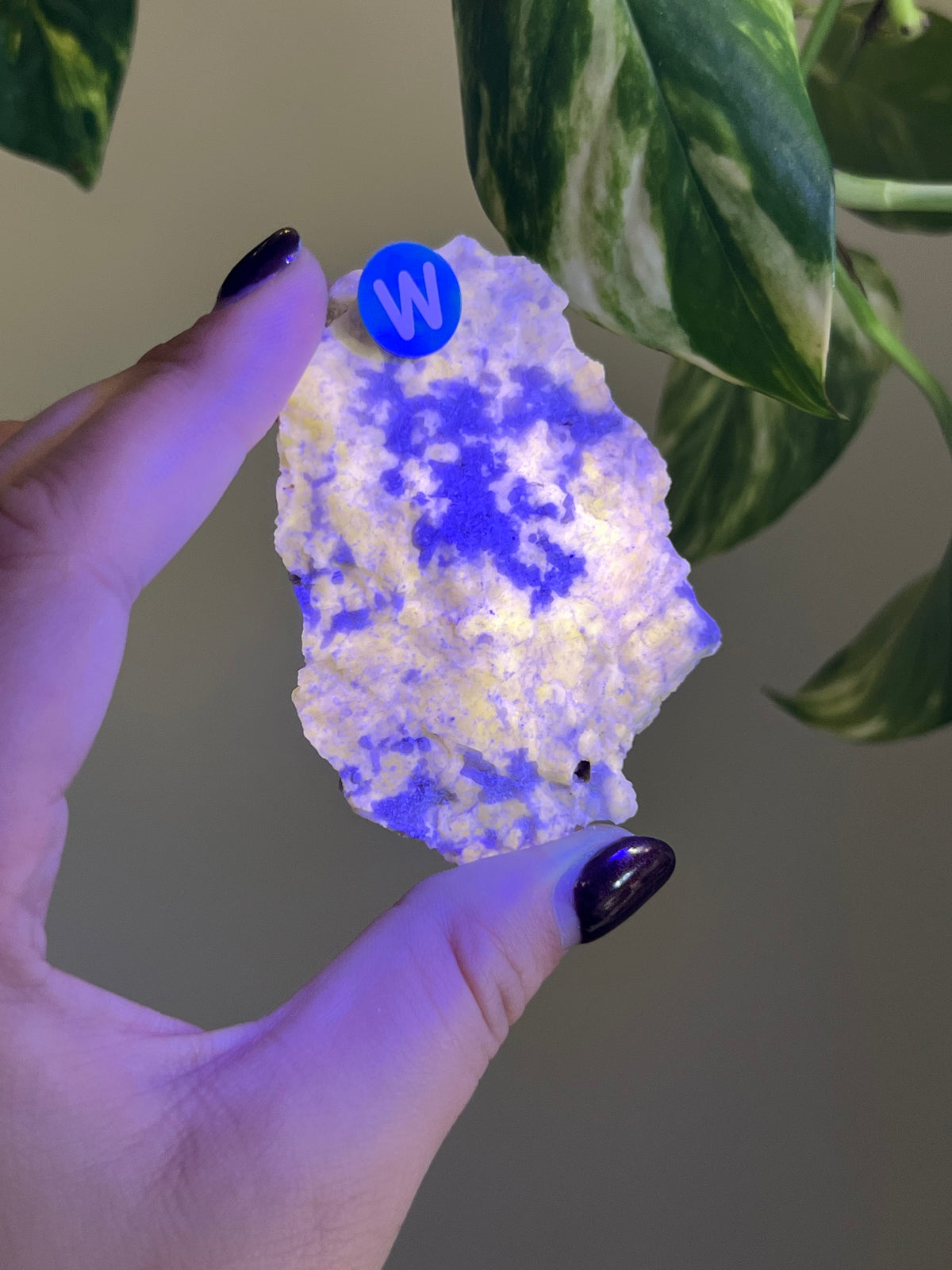 UV Reactive Meionite Scapolite Specimen - W