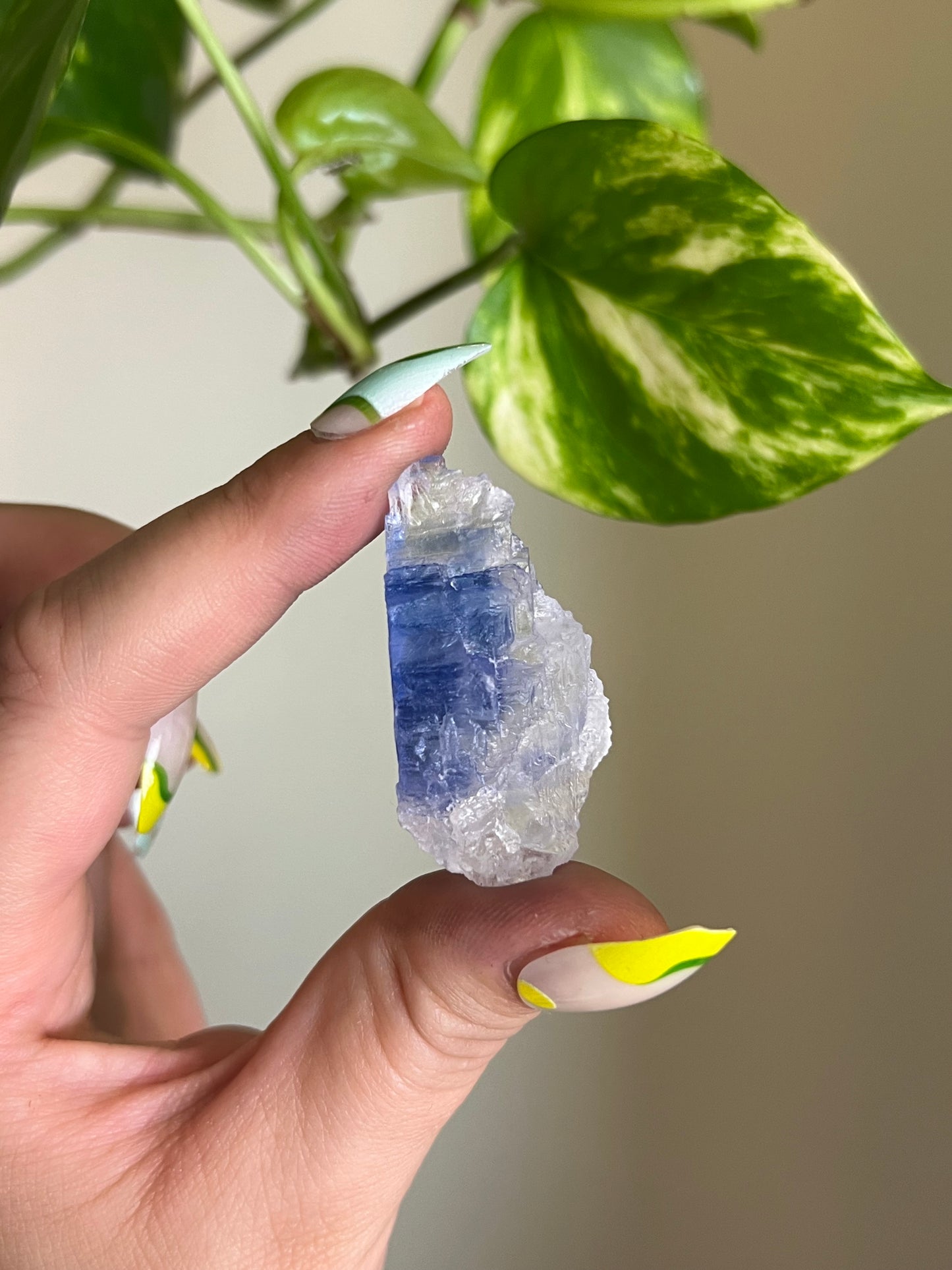 Blue Halite Specimen - Z