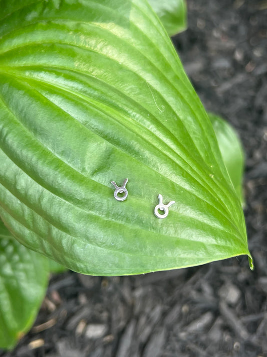Taurus Silver Zodiac Sign Studs ♉️