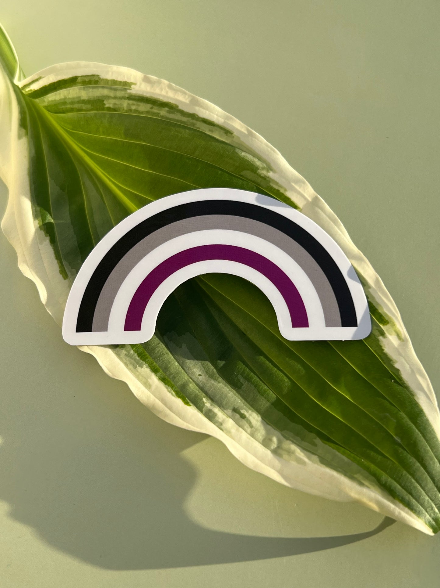Asexual Rainbow Sticker