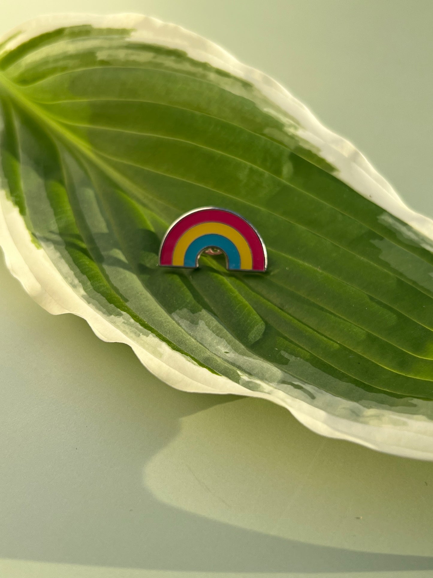 Pansexual Rainbow Pin