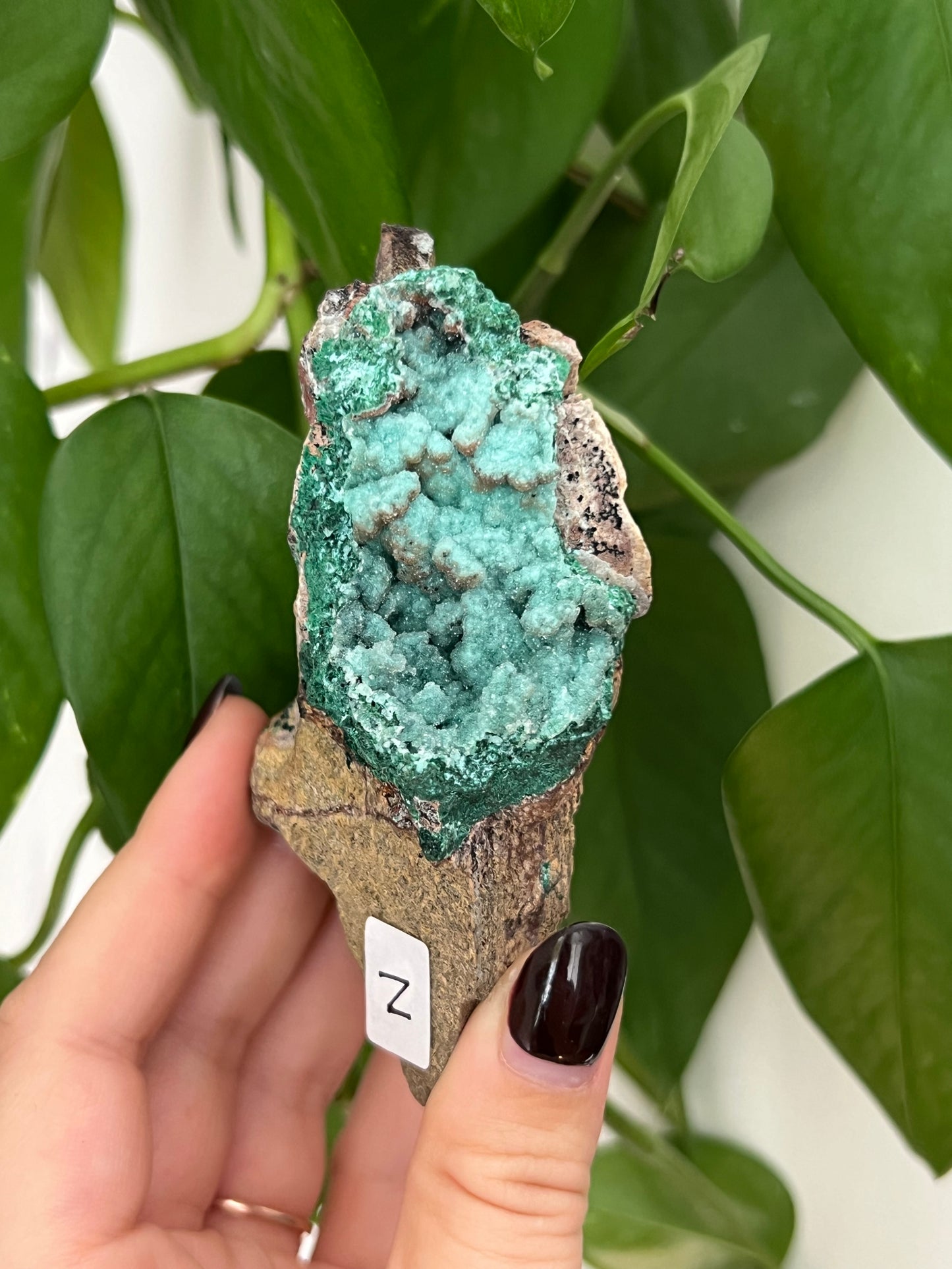 Botryoidal Malachite, Dolomite, Druzy Chrysocolla N