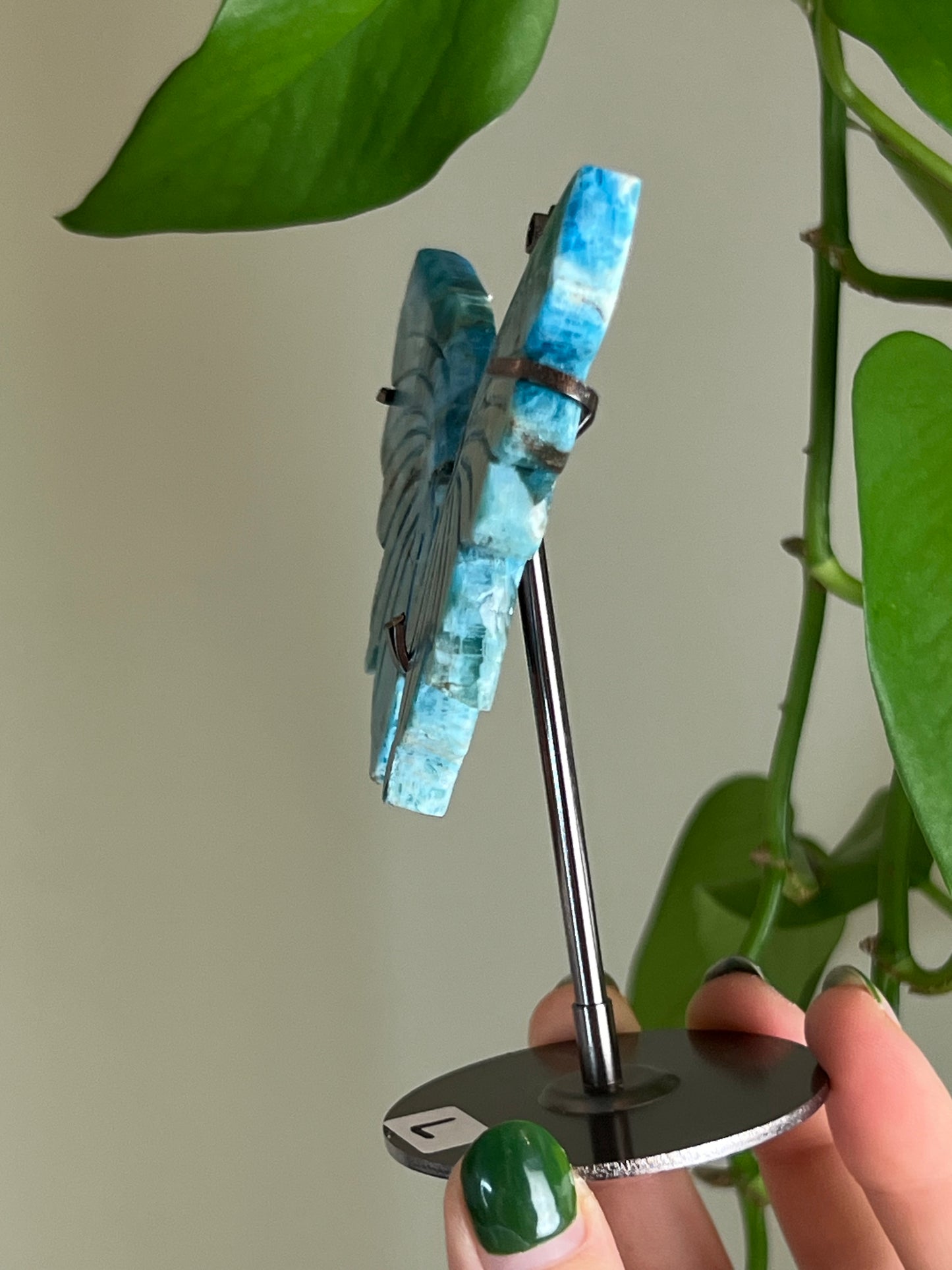 Blue Apatite Butterfly Stand L