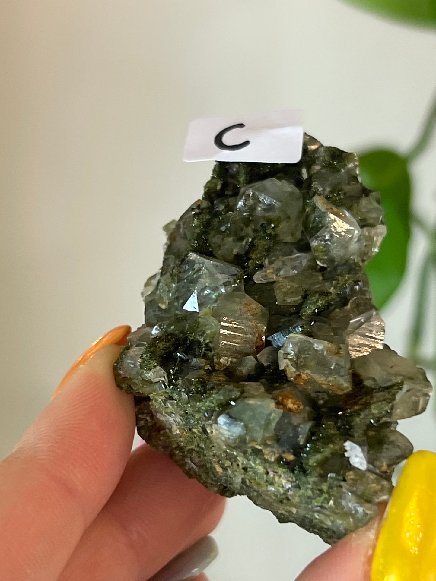 Forest Epidote Quartz Cluster - C