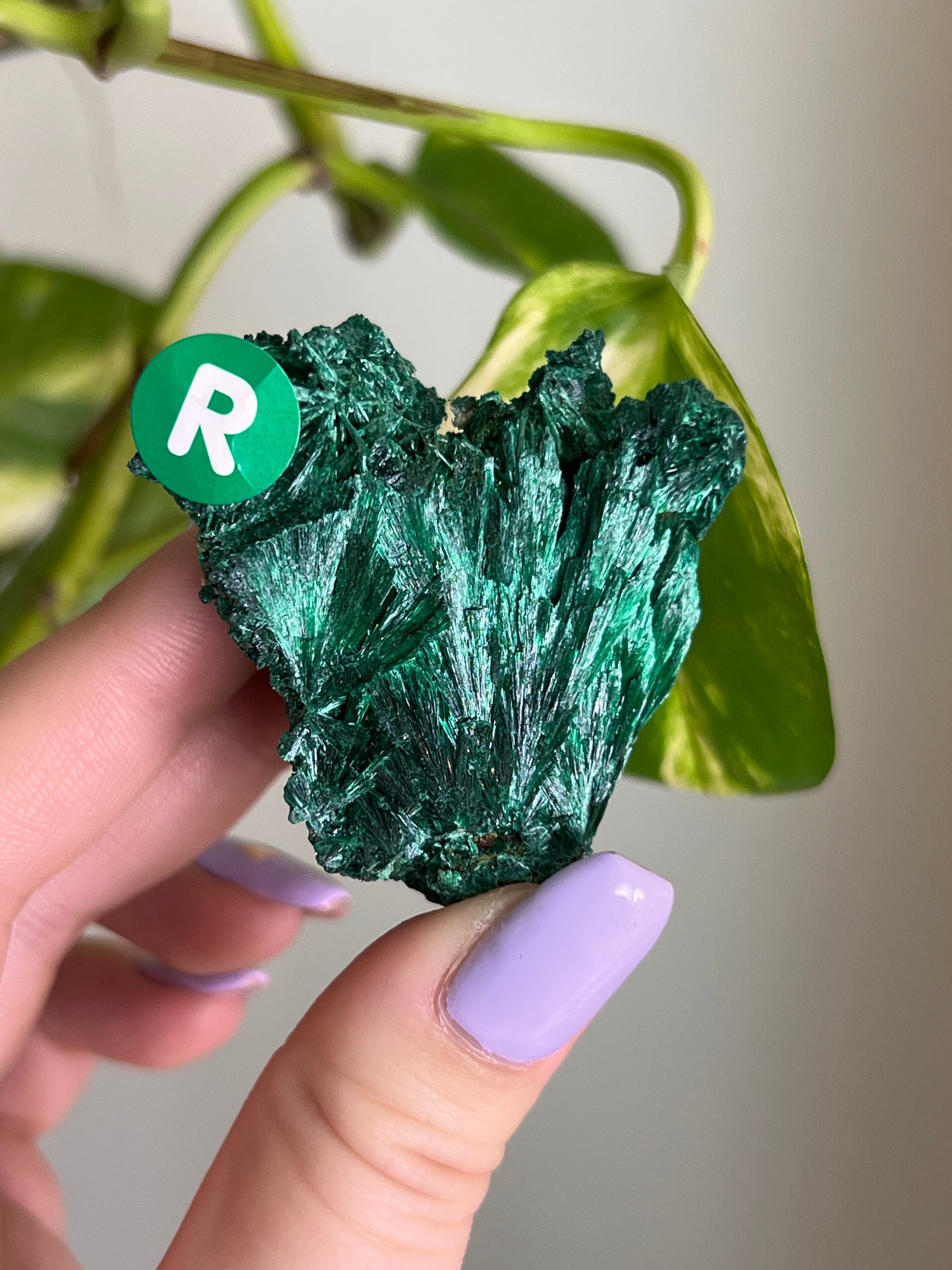 Fibrous Malachite - R